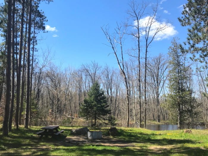 Thunder Bay River State Forest Campground