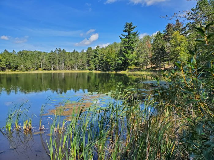 Michigan DNR