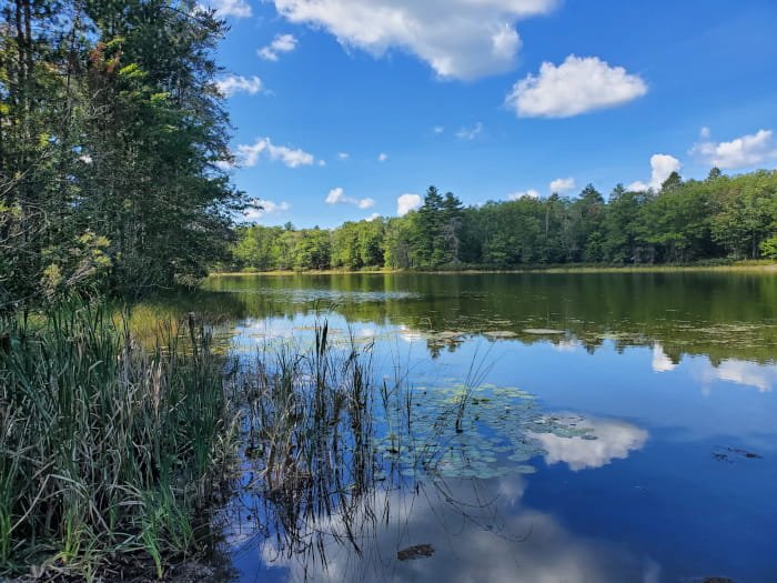 Michigan DNR