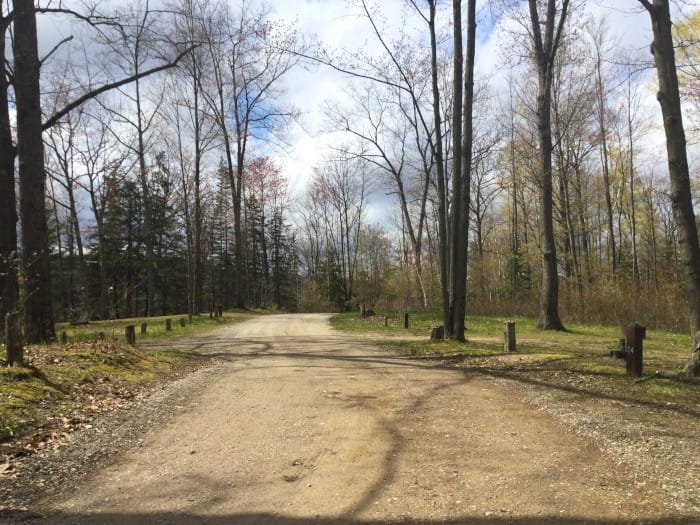 Trout Lake State Forest Campground