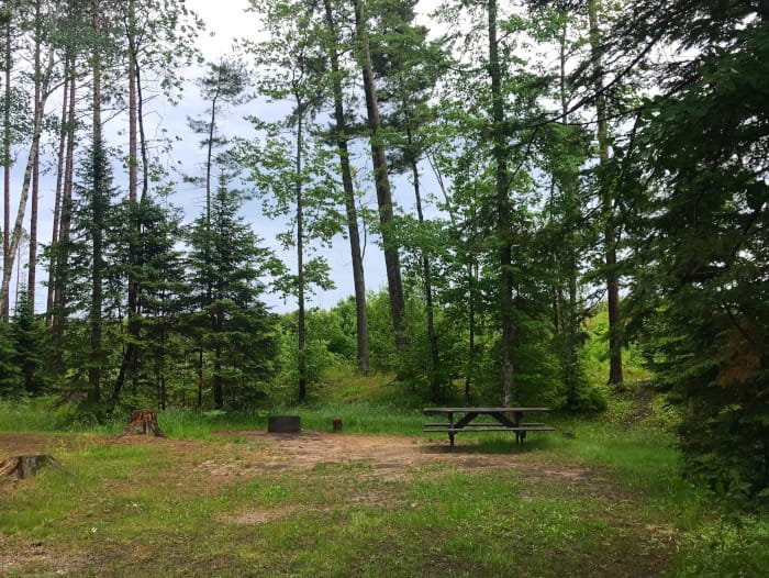 Michigan DNR