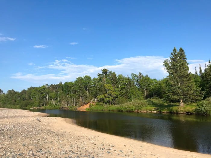 Michigan DNR