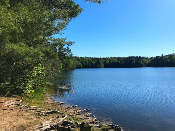Michigan DNR