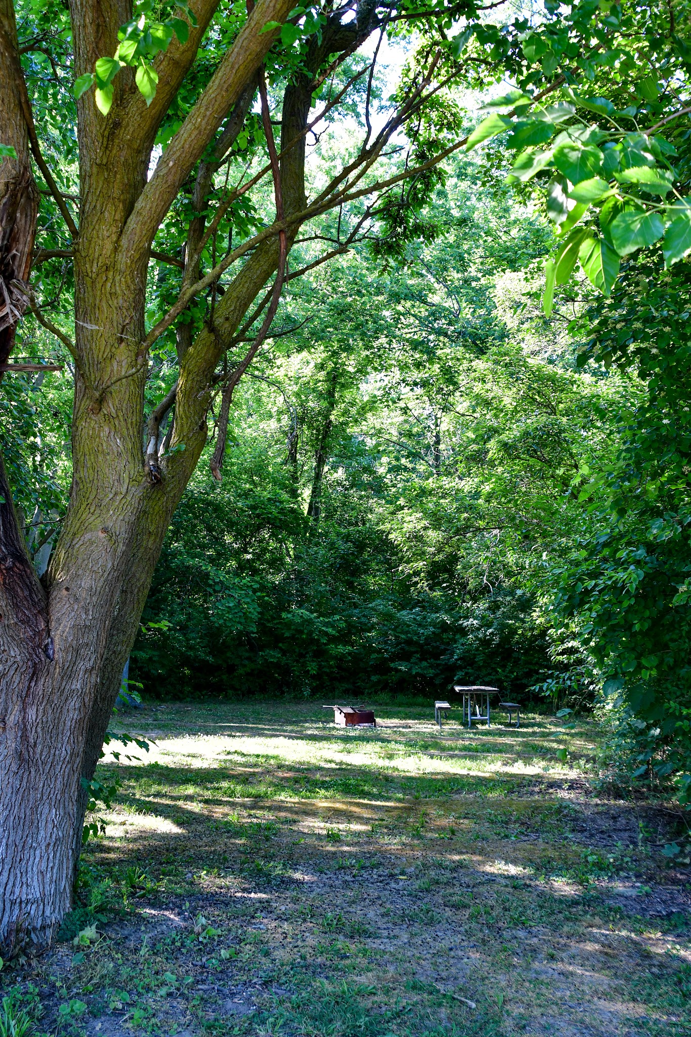 West Wall Campground