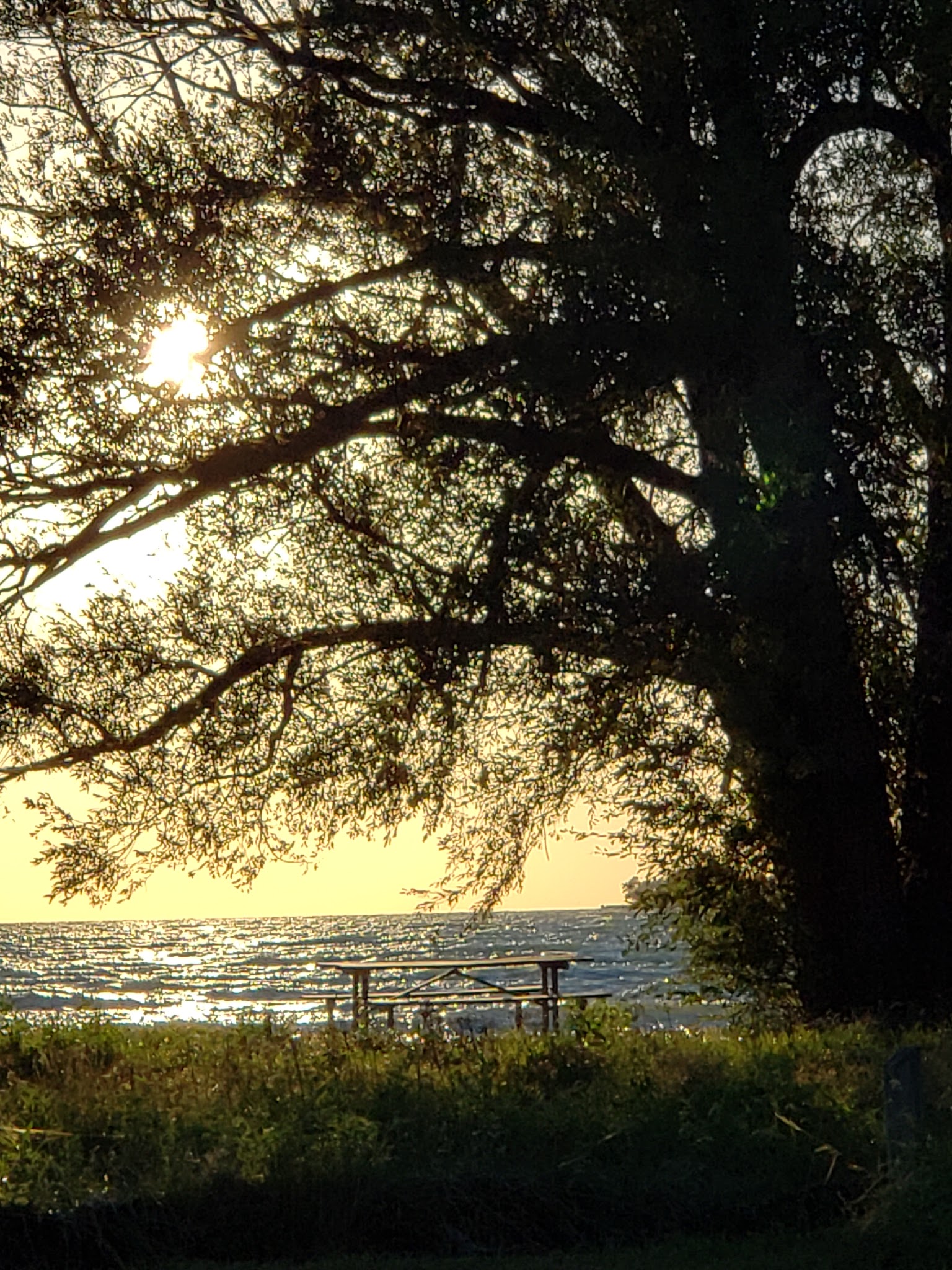 Middle Bass Island Campground