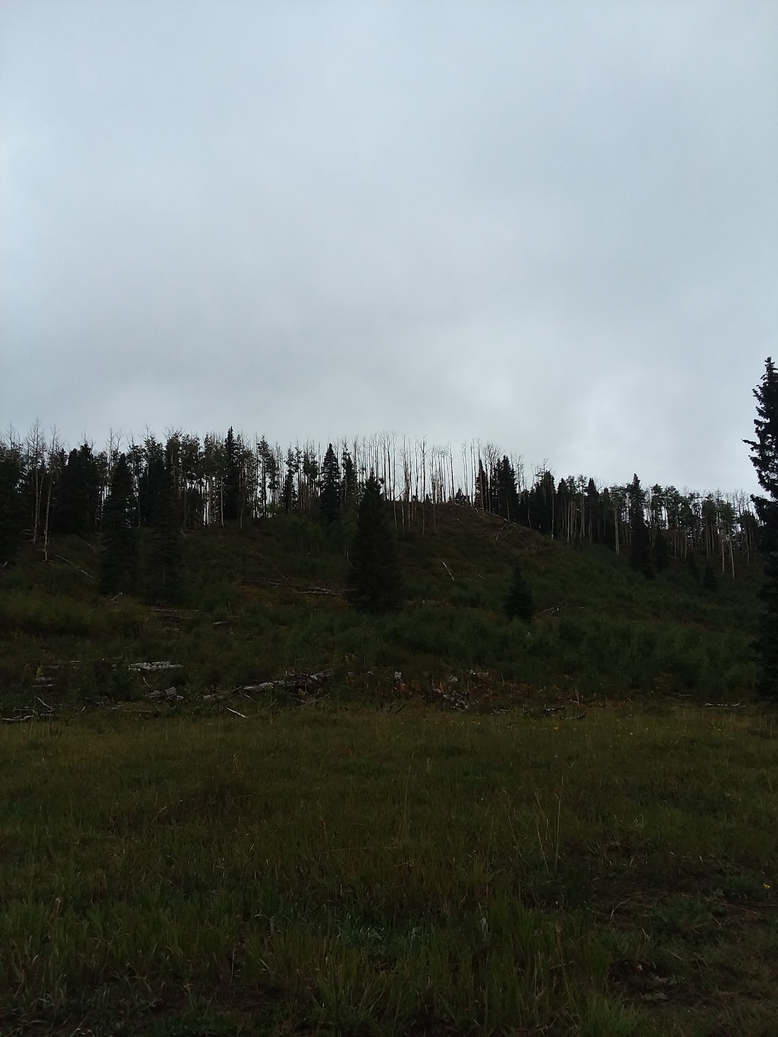 Canjilon Lakes Campground