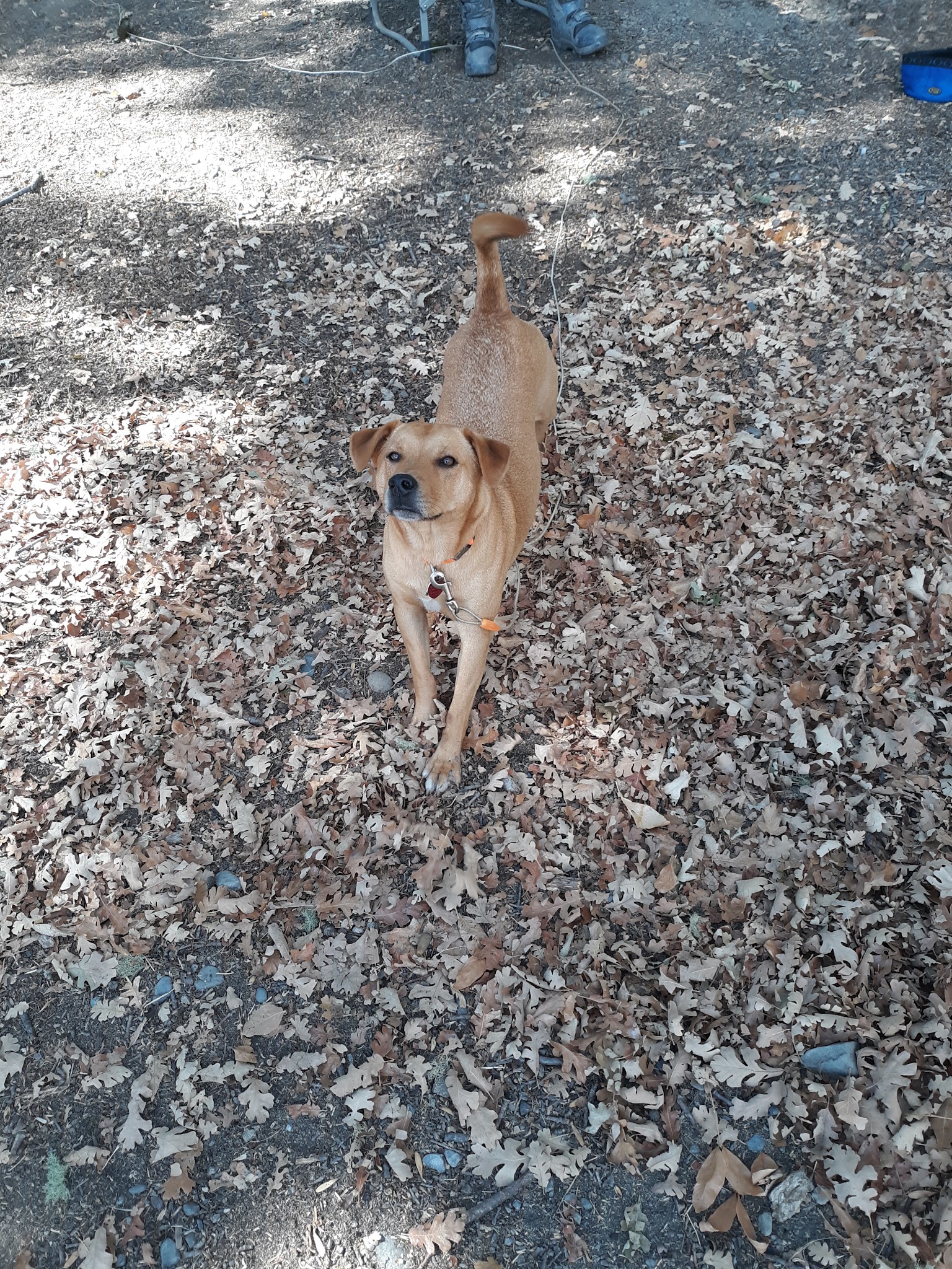 Middle Creek Campground