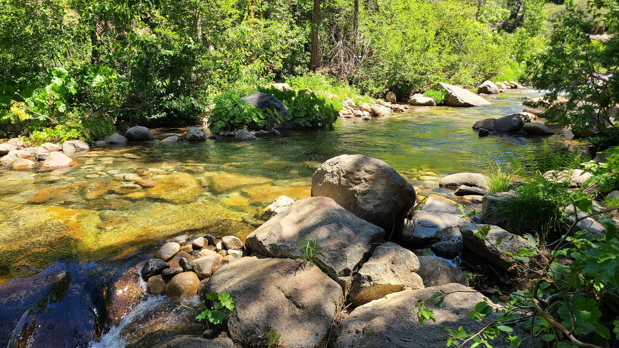 Middle Fork Cosumnes Campground