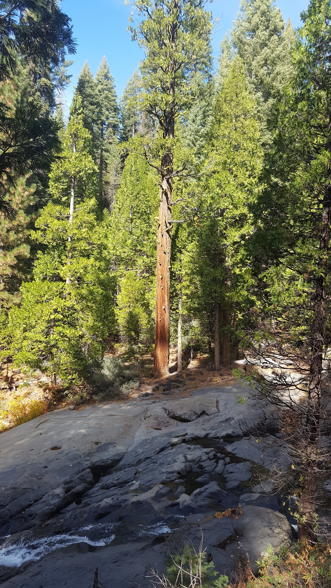 Middle Fork Cosumnes Campground