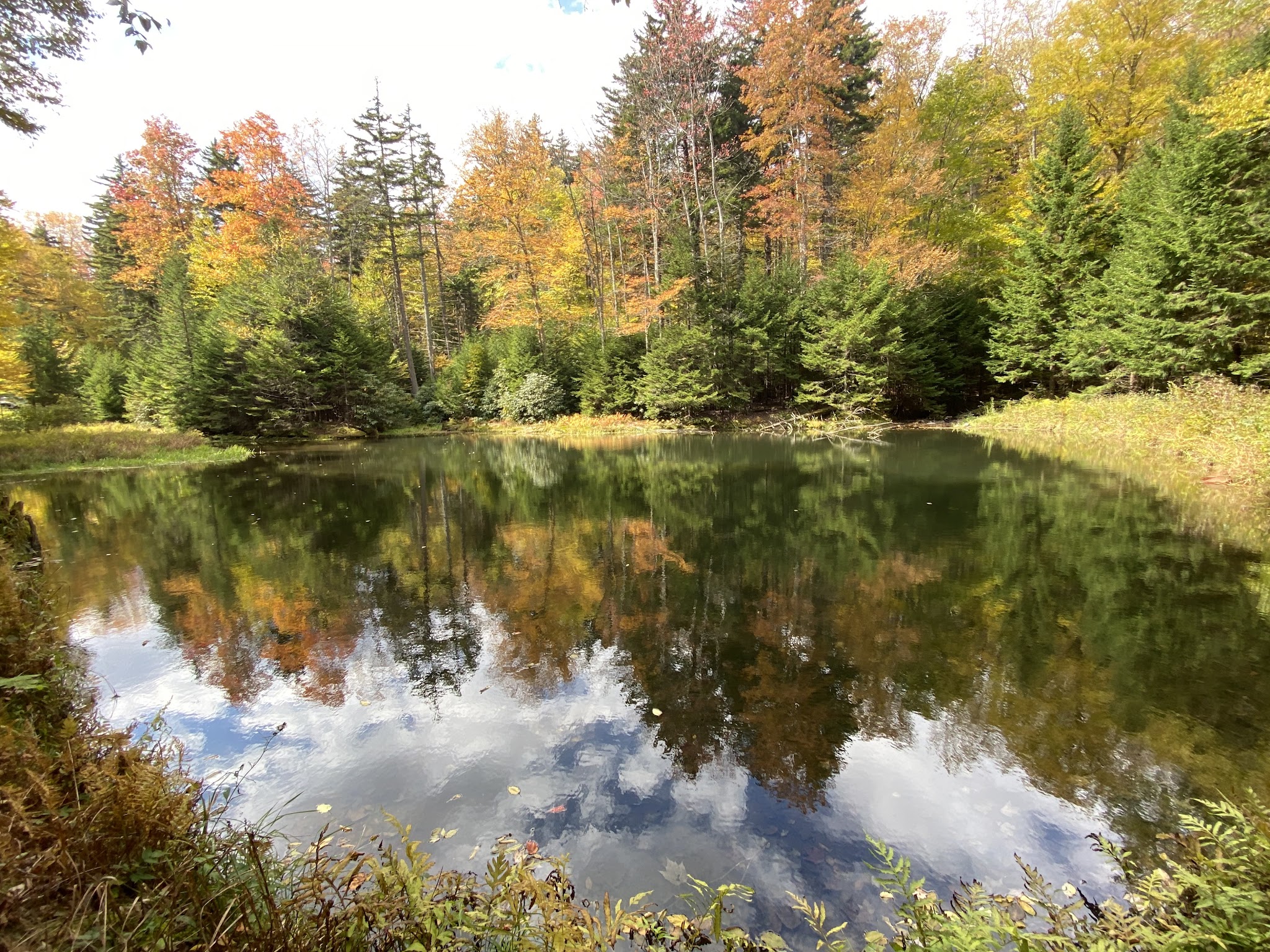Middle Mountain Cabins