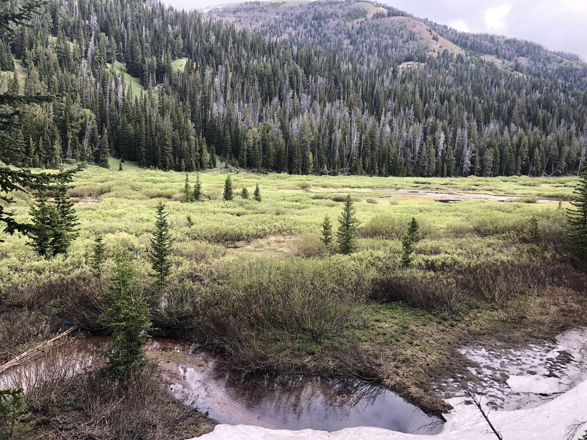 Middle Piney Lake Campground