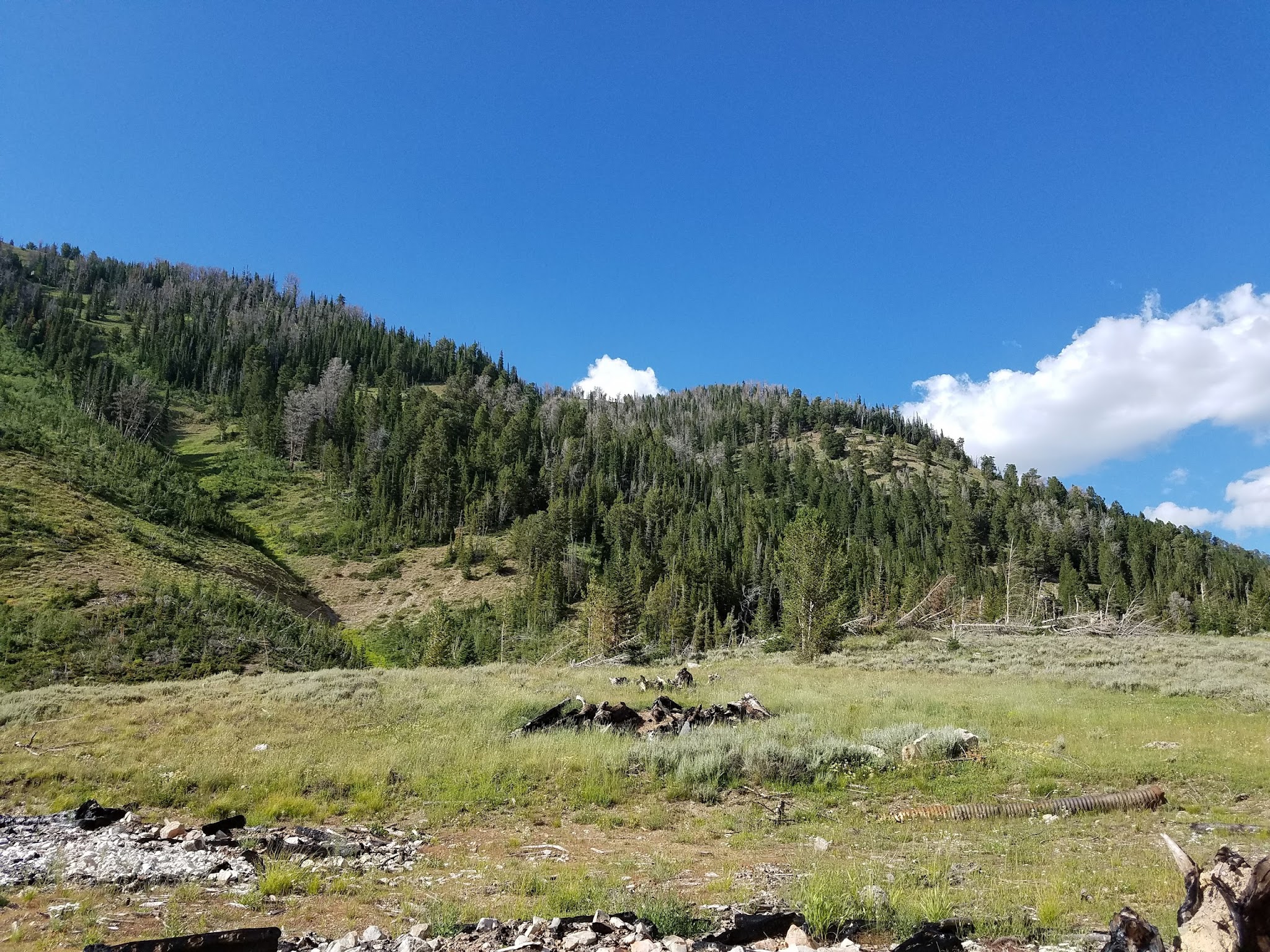 Middle Piney Lake Campground