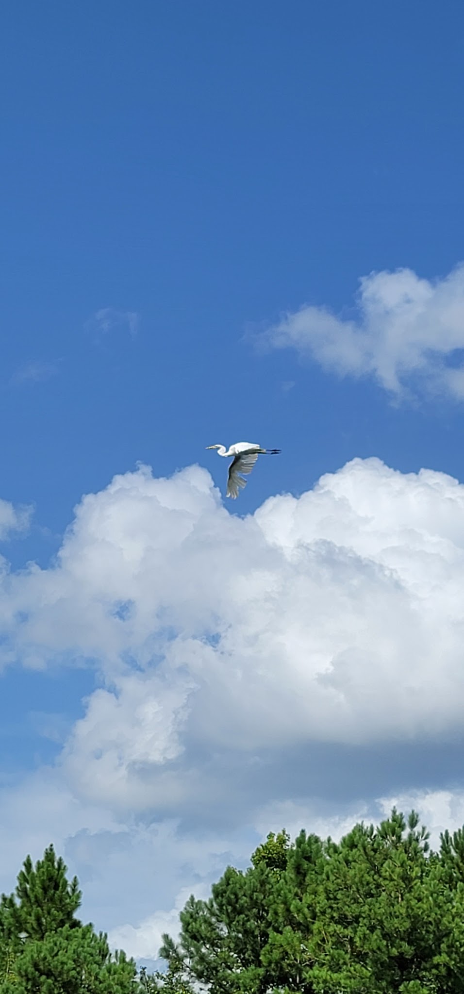 Dunns Farm Camp Zone