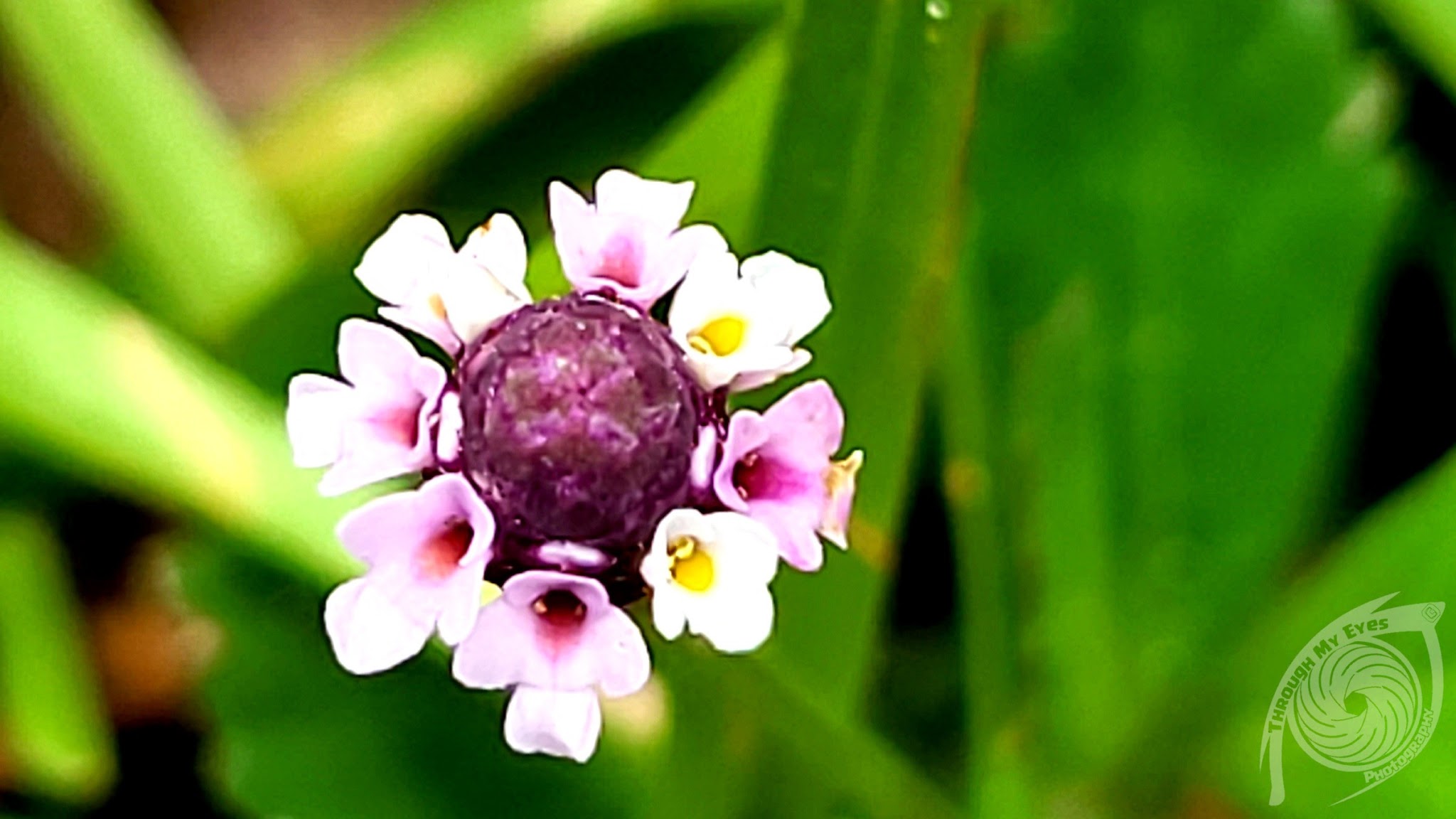 Dunns Farm Camp Zone