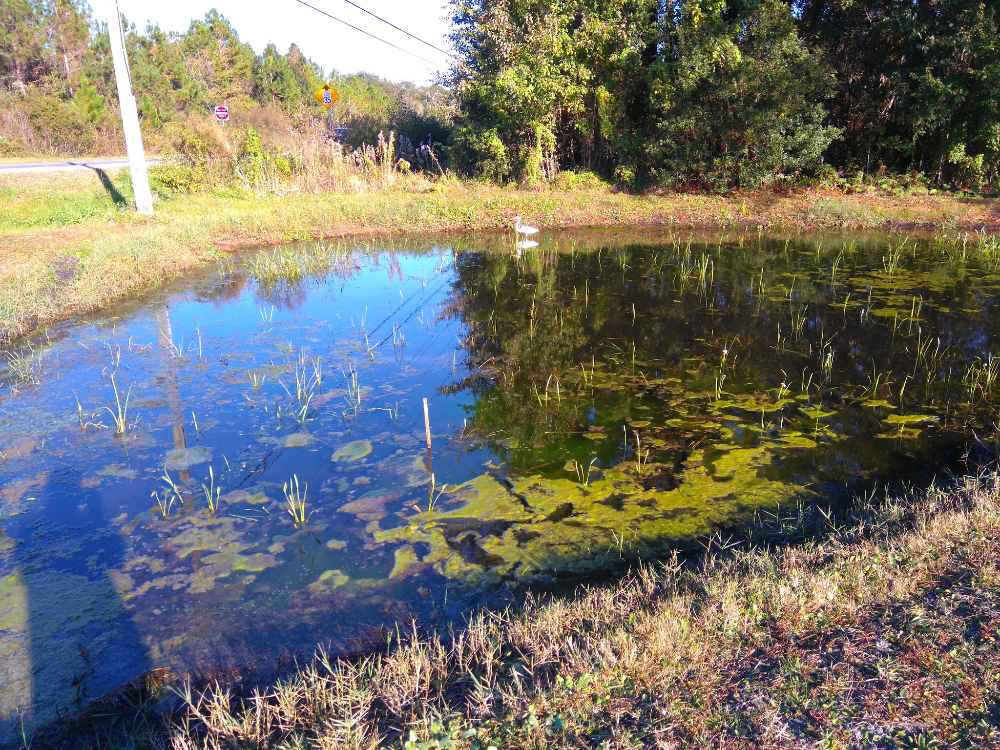 Dunns Farm Camp Zone