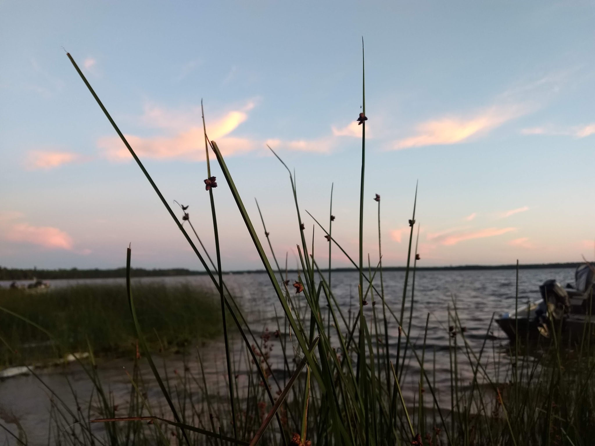 Milakokia Lake State Forest Campground