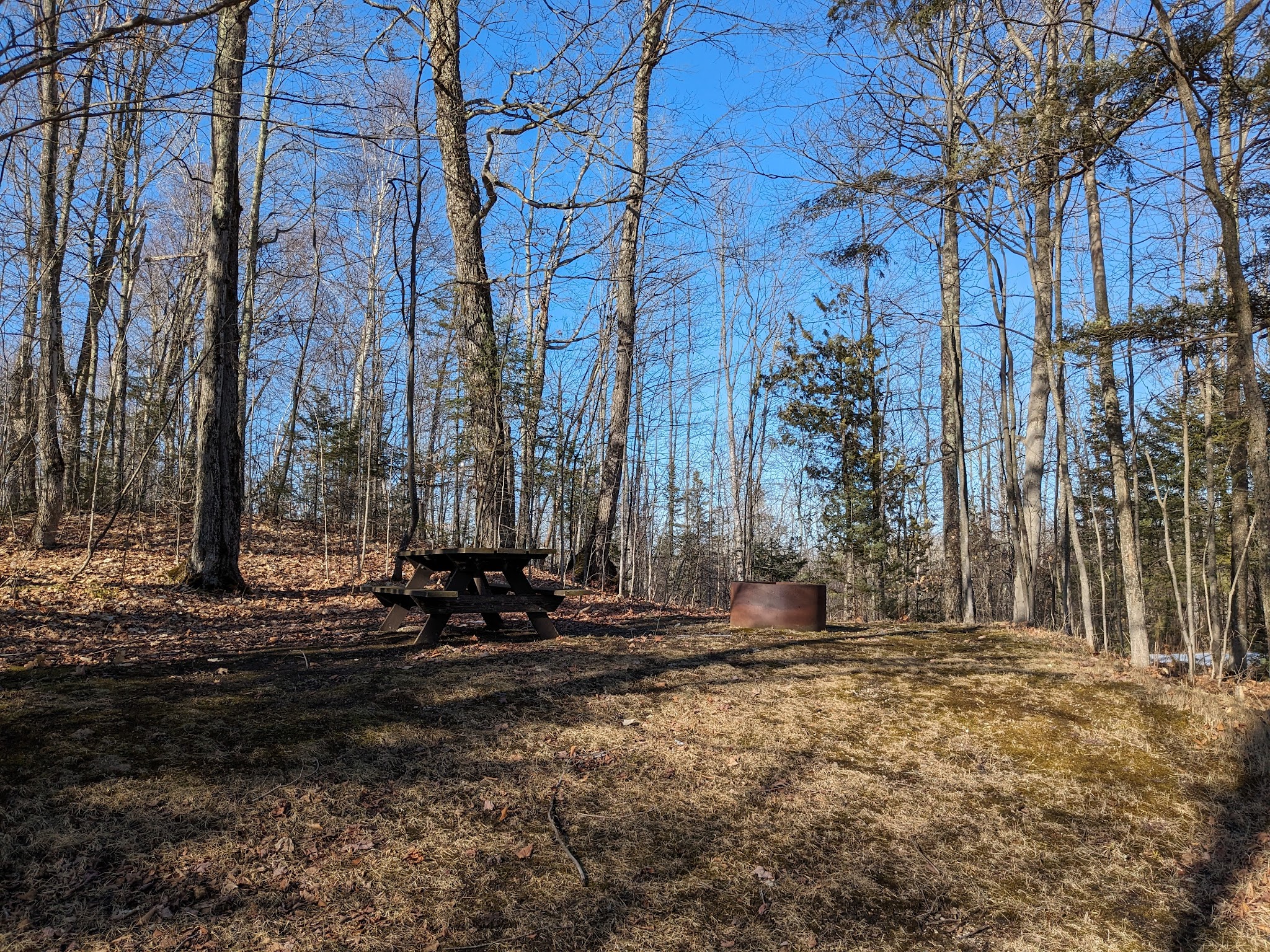 Milakokia Lake State Forest Campground