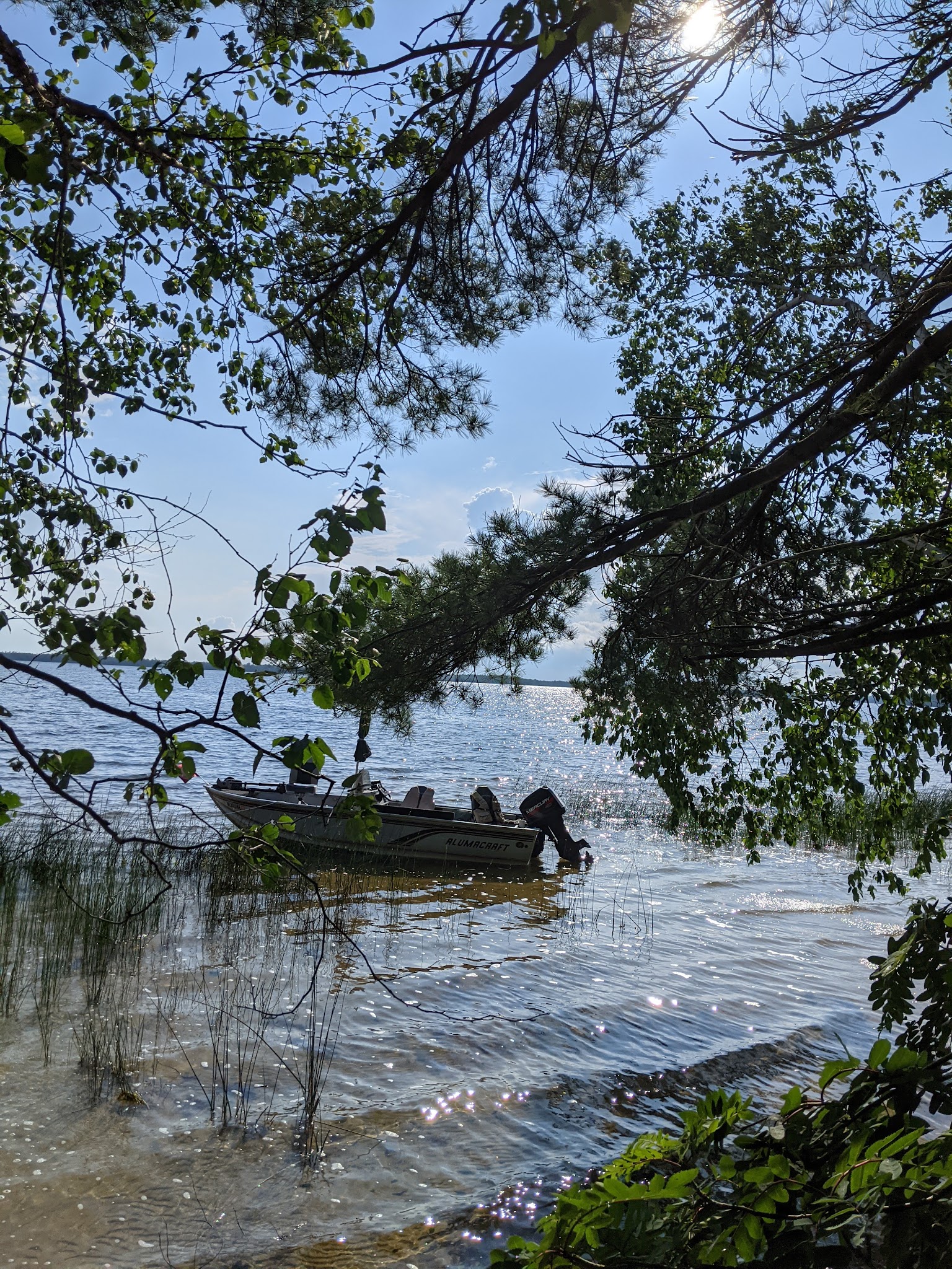Milakokia Lake State Forest Campground