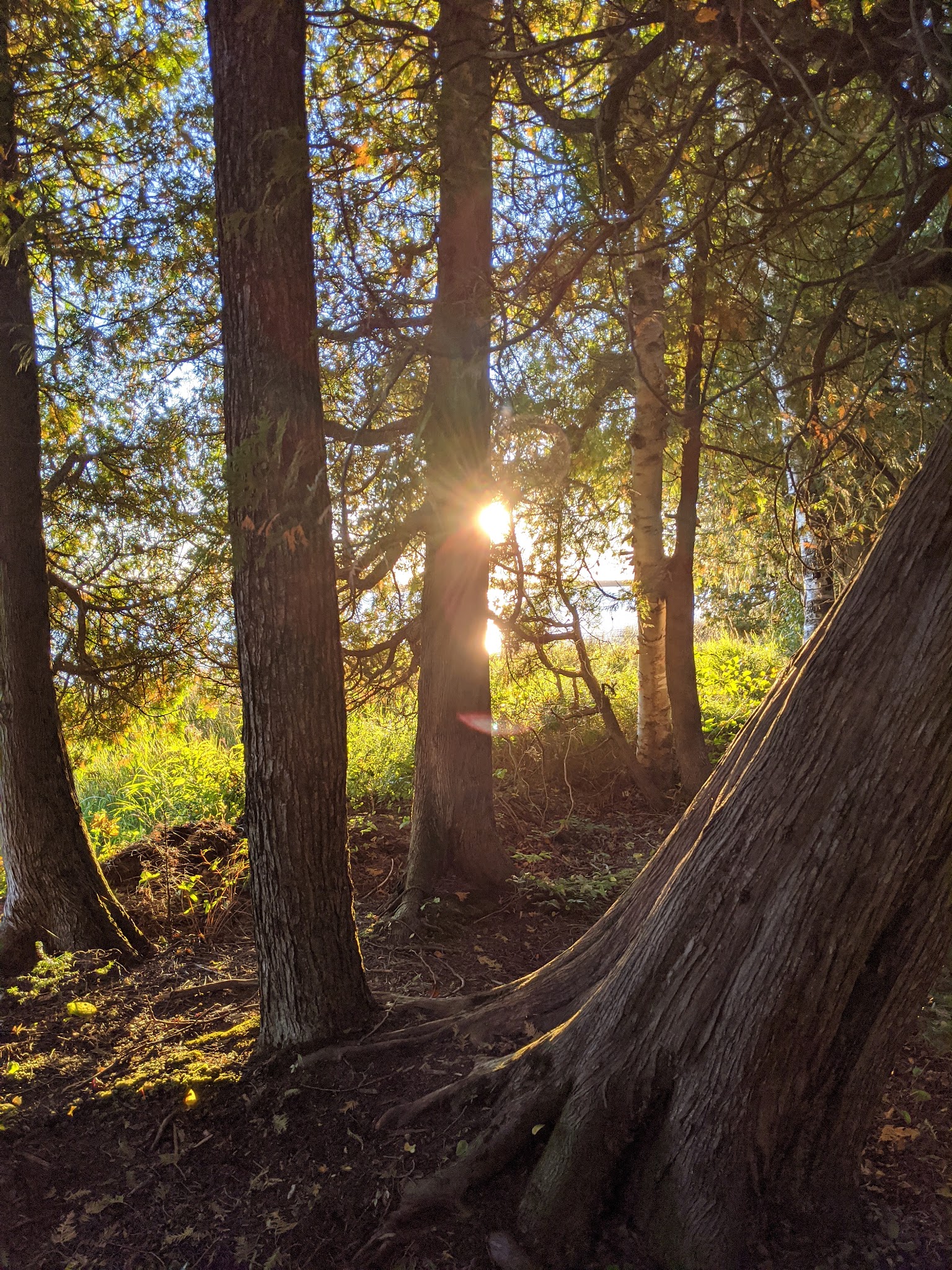 Milakokia Lake State Forest Campground