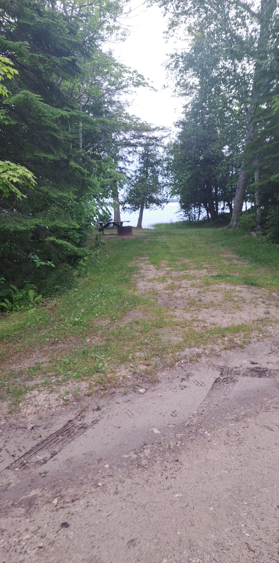 Milakokia Lake State Forest Campground