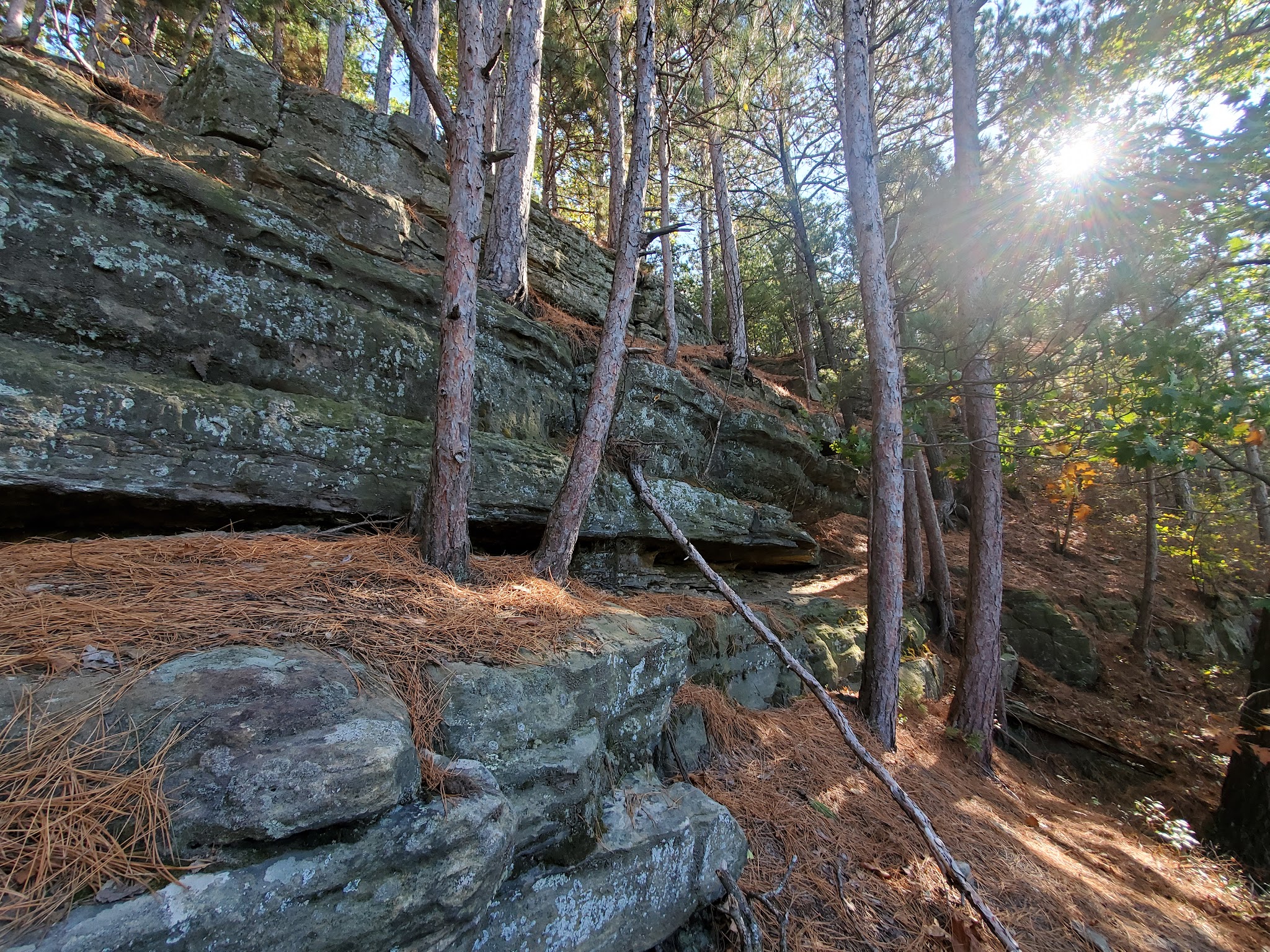 Mill Bluff State Park