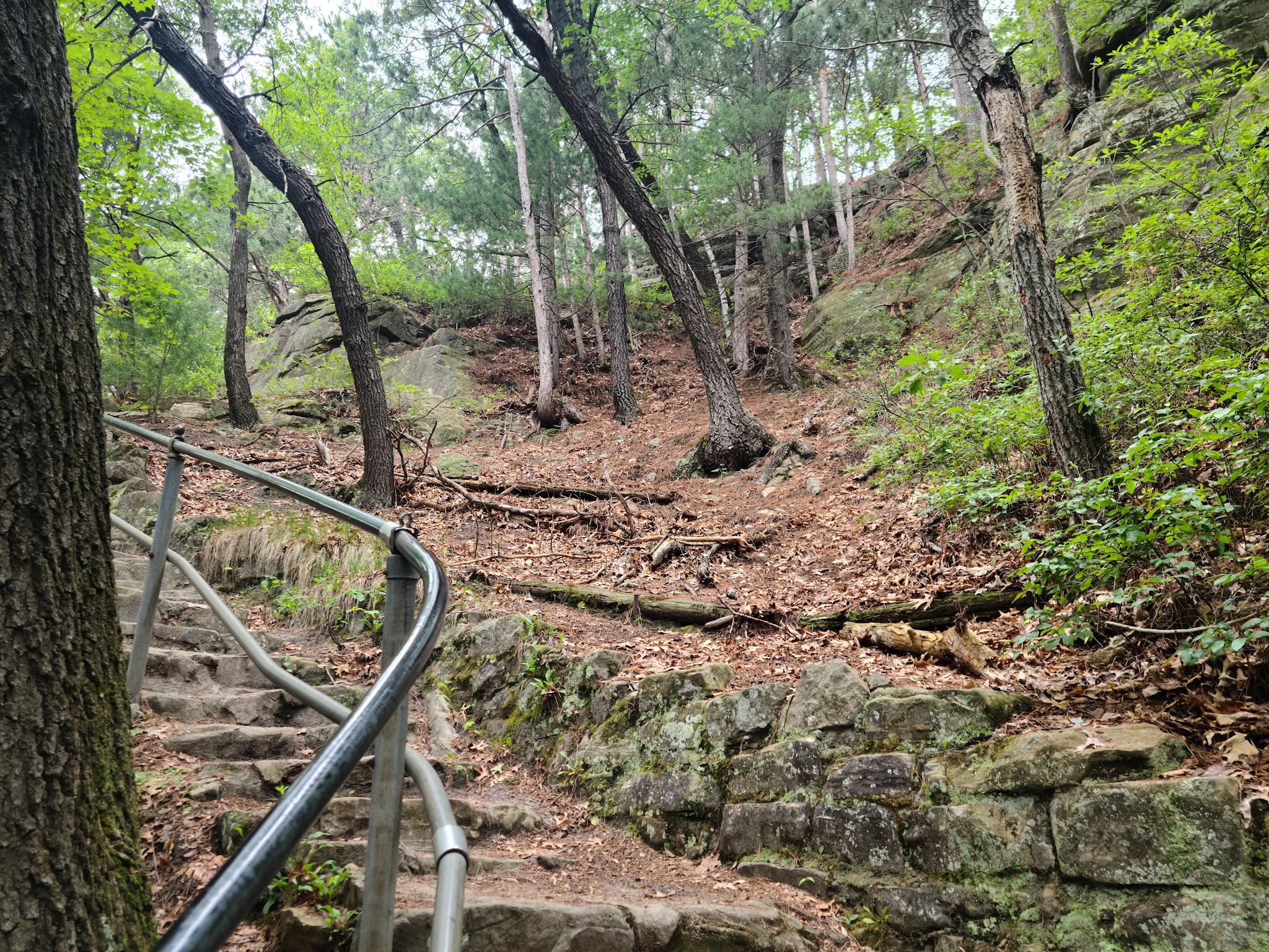 Mill Bluff State Park