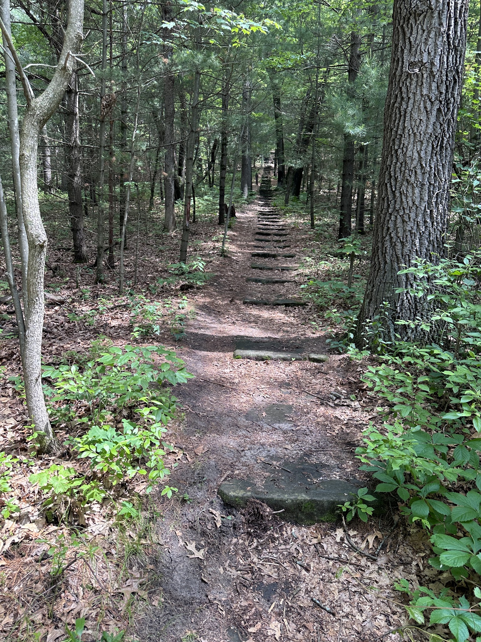 Mill Bluff State Park