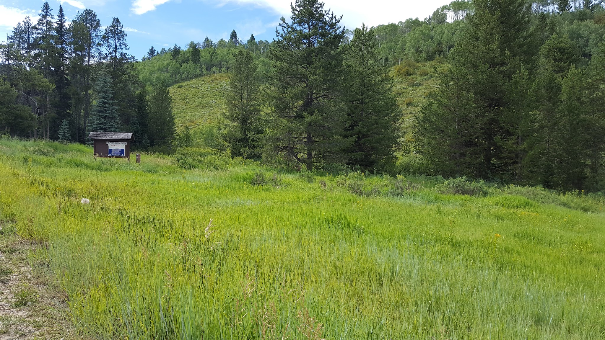 Mill Canyon Campground