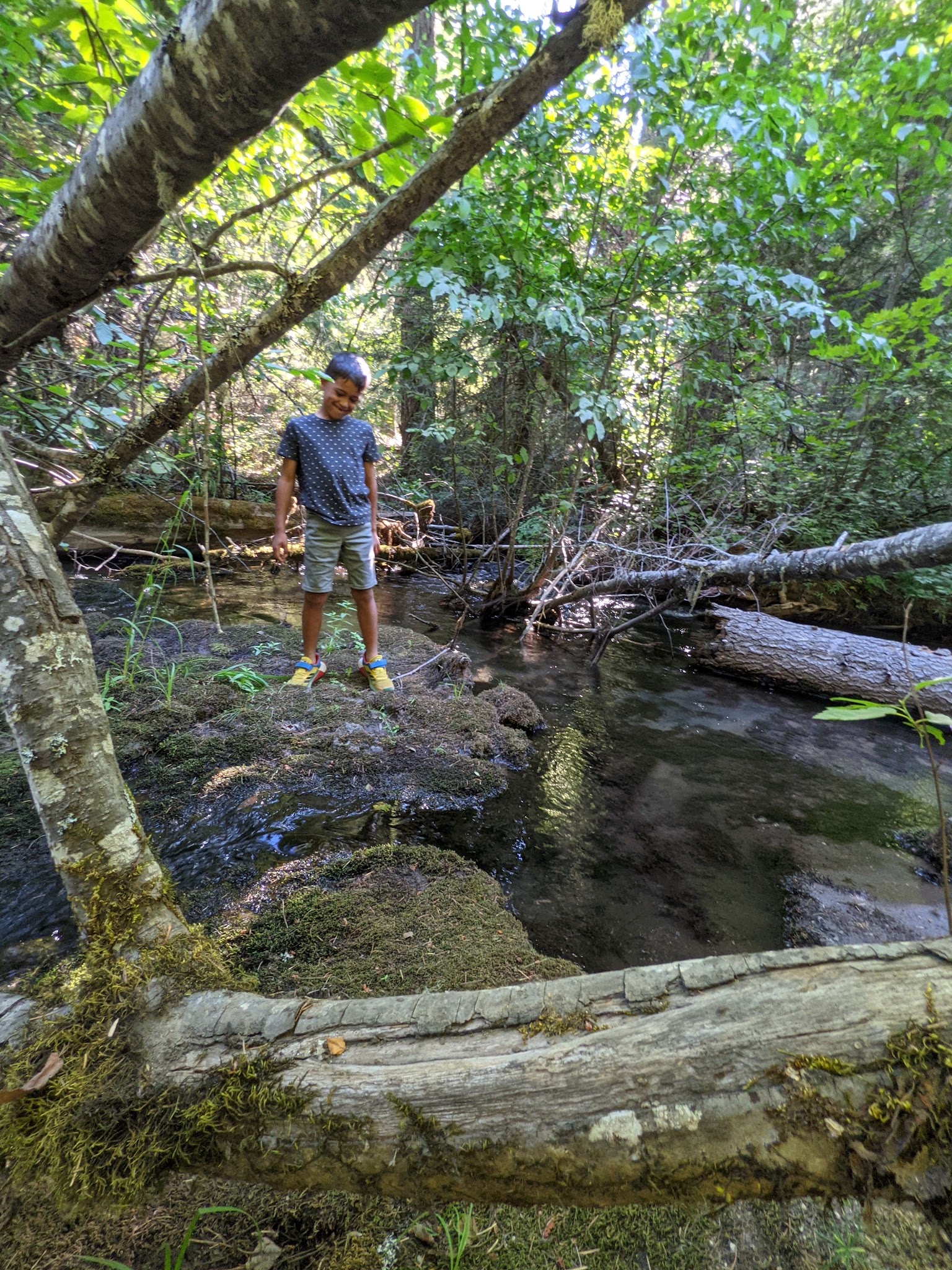 Mill Creek Campground
