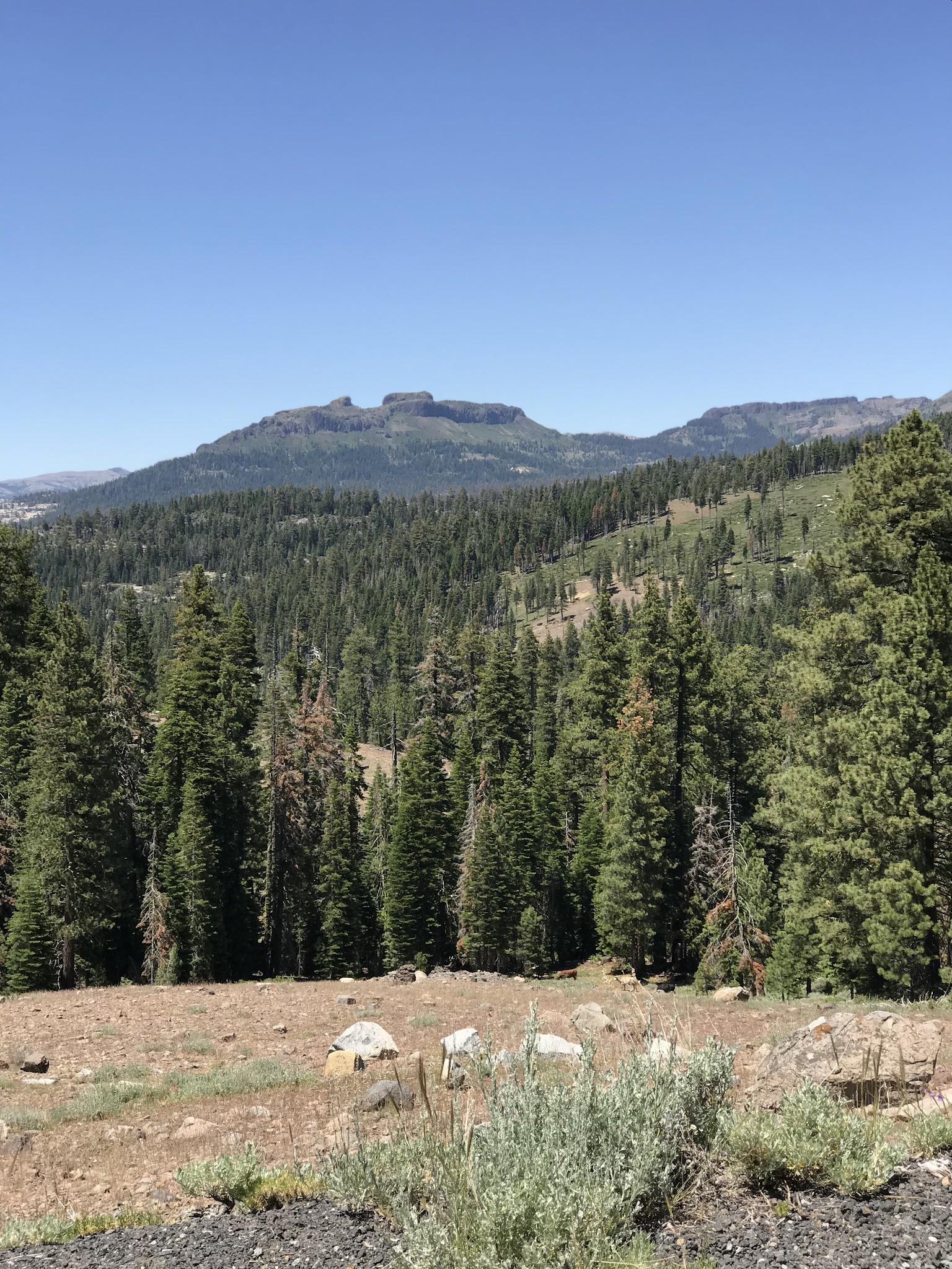 Mill Creek Campground