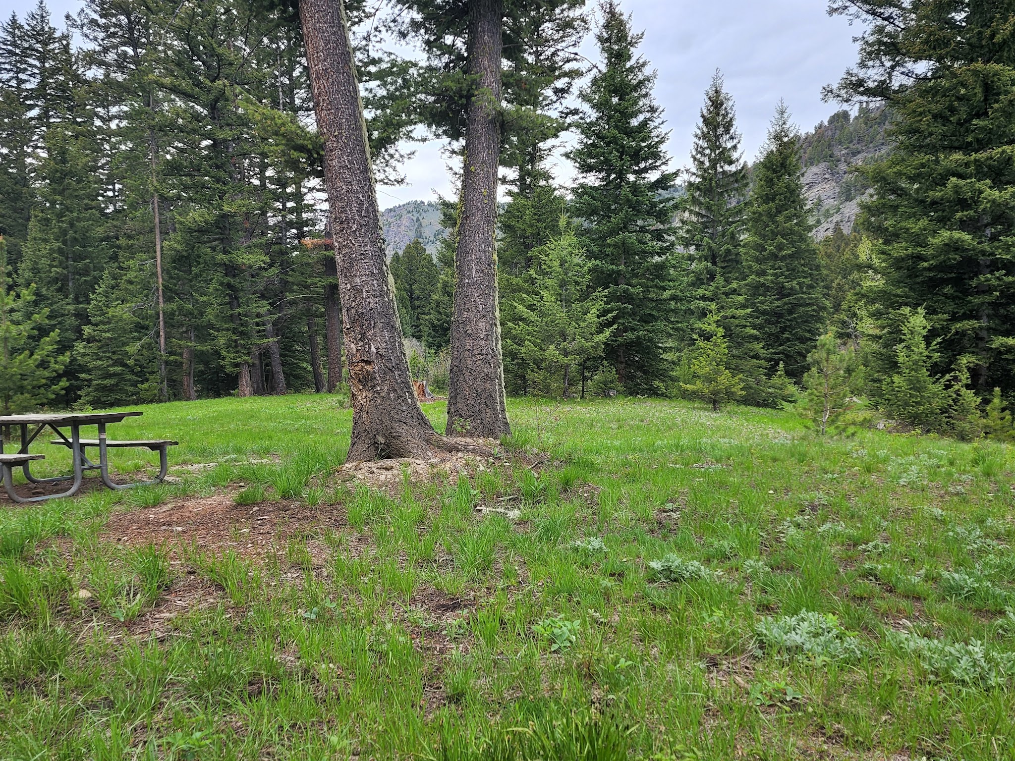 Mill Creek Campground