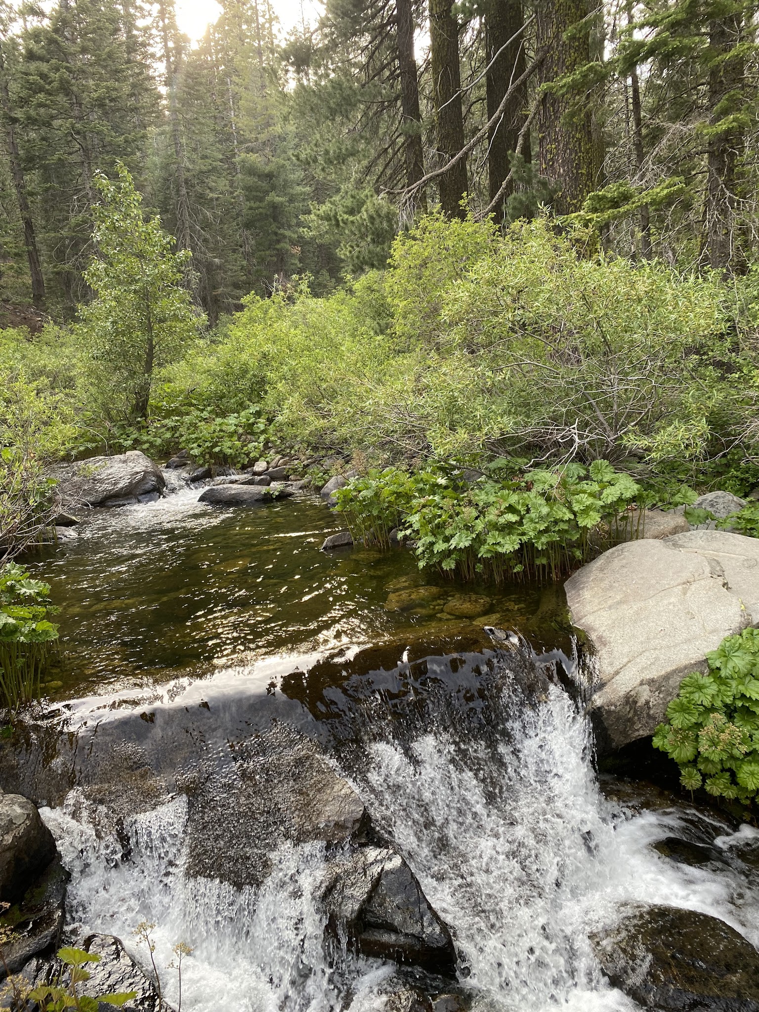 Mill Creek Campground (Plumas)