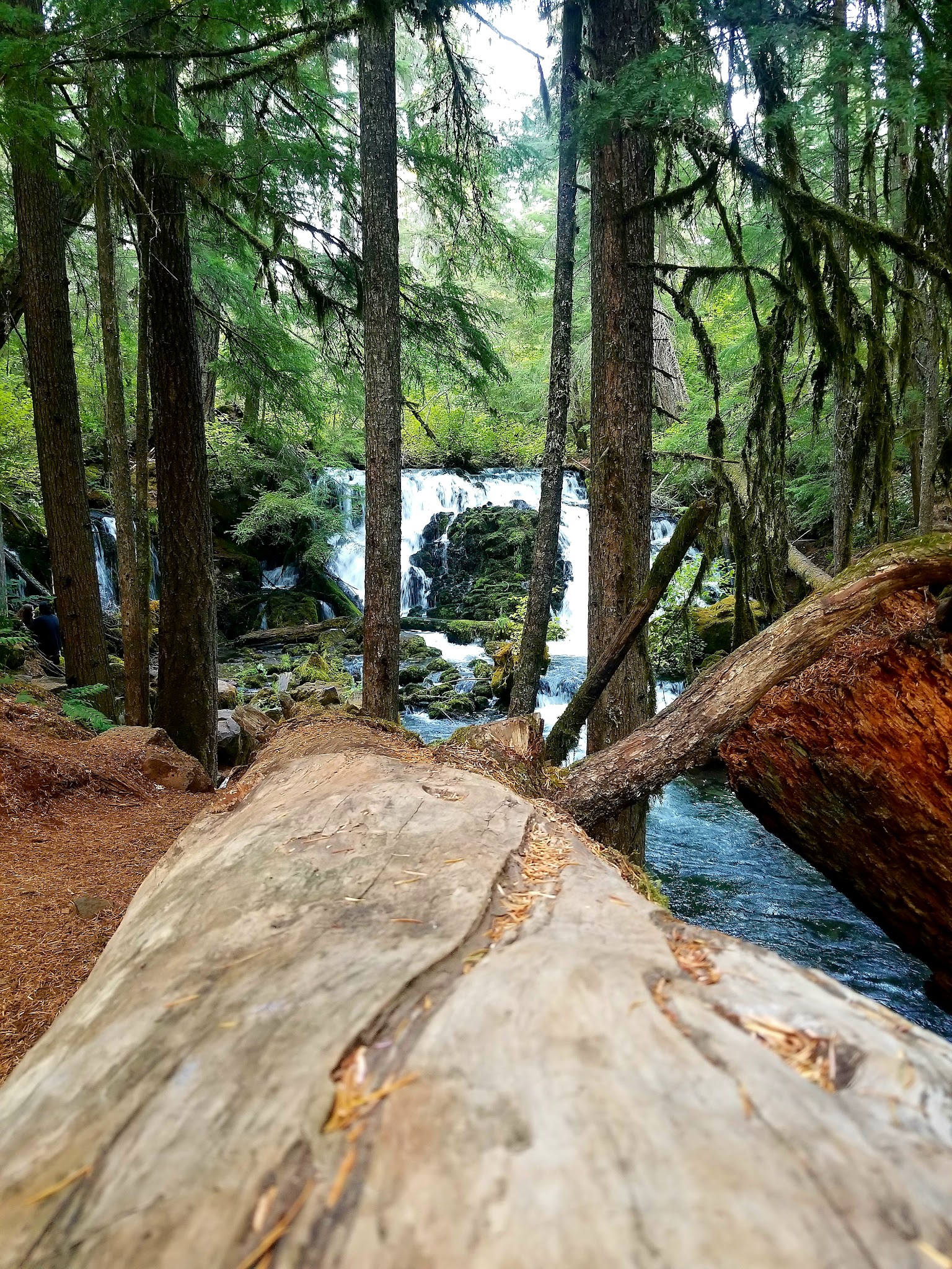 Mill Creek Campground