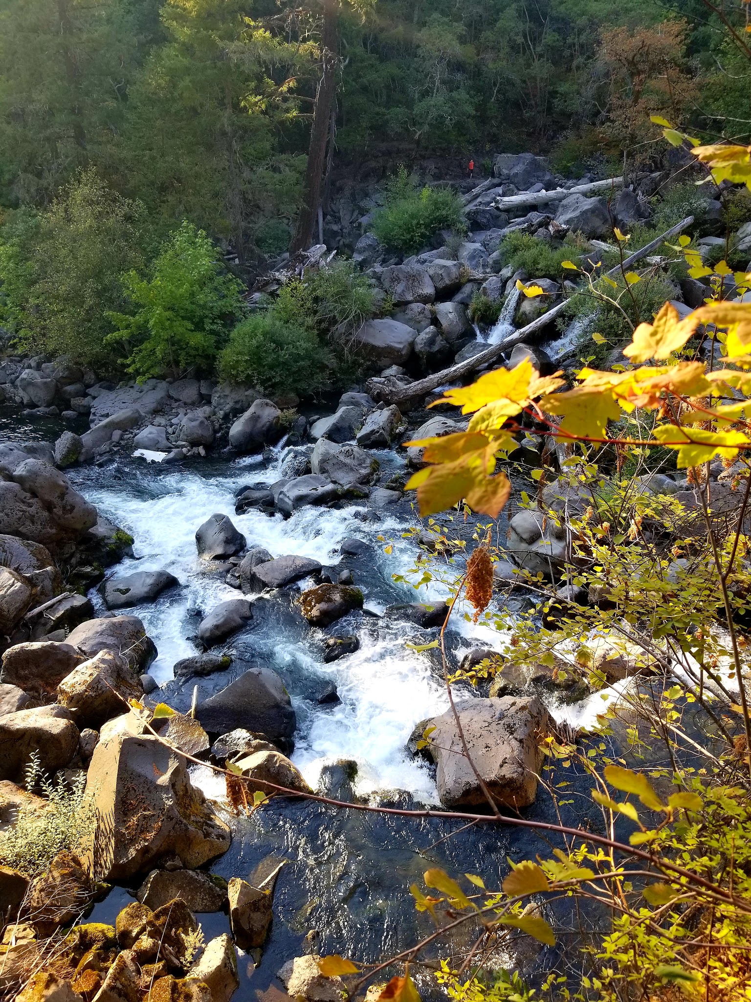 Mill Creek Campground