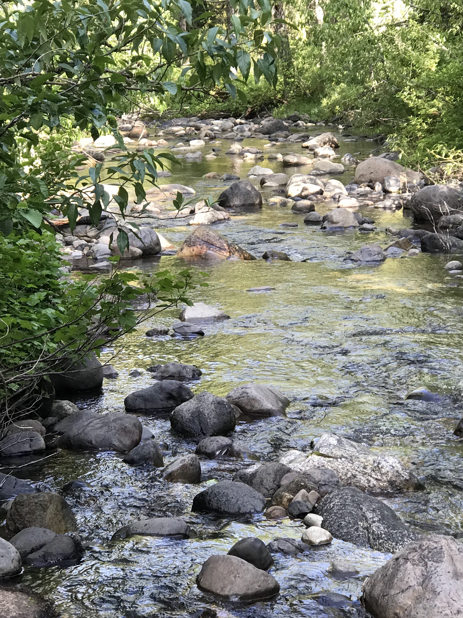 Mill Creek Campground