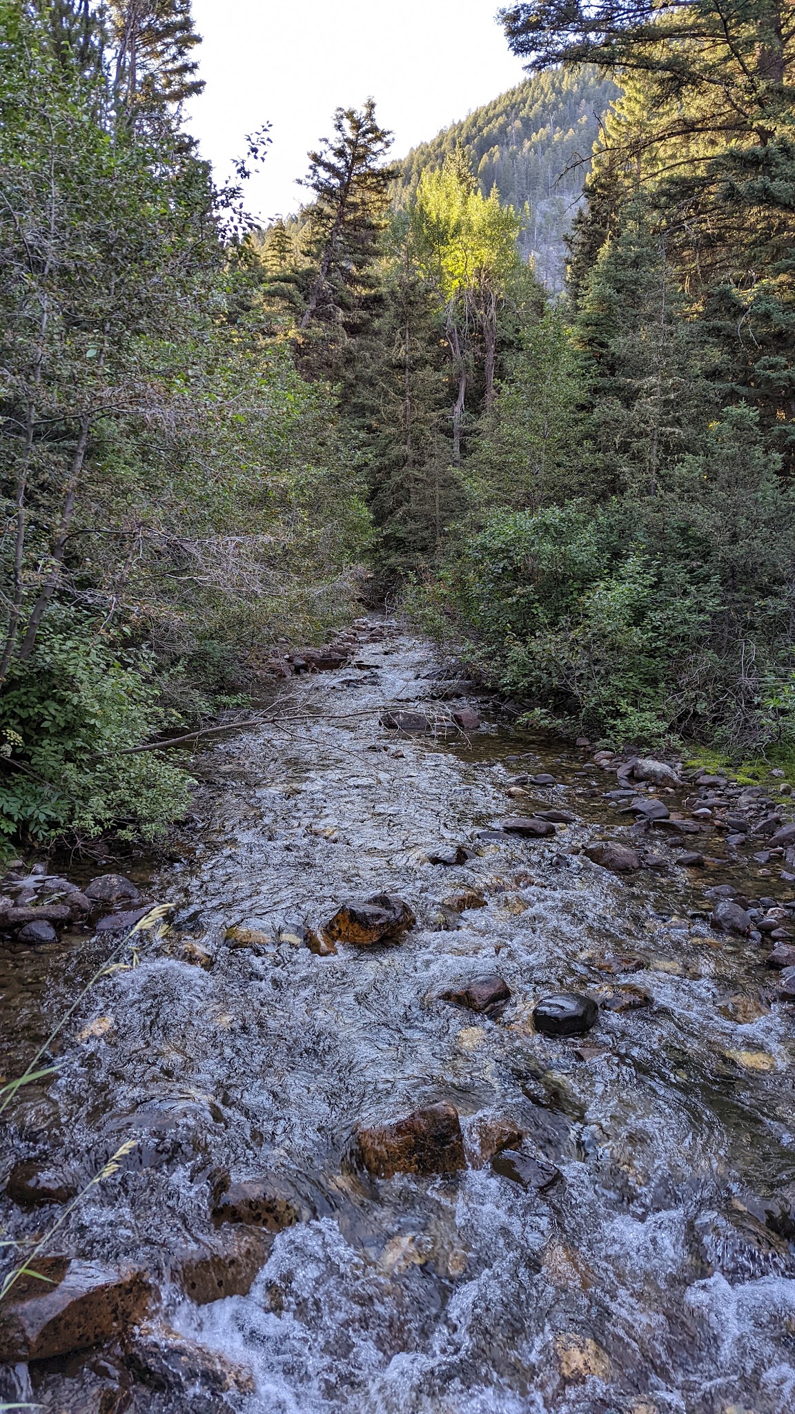 Mill Creek Campground