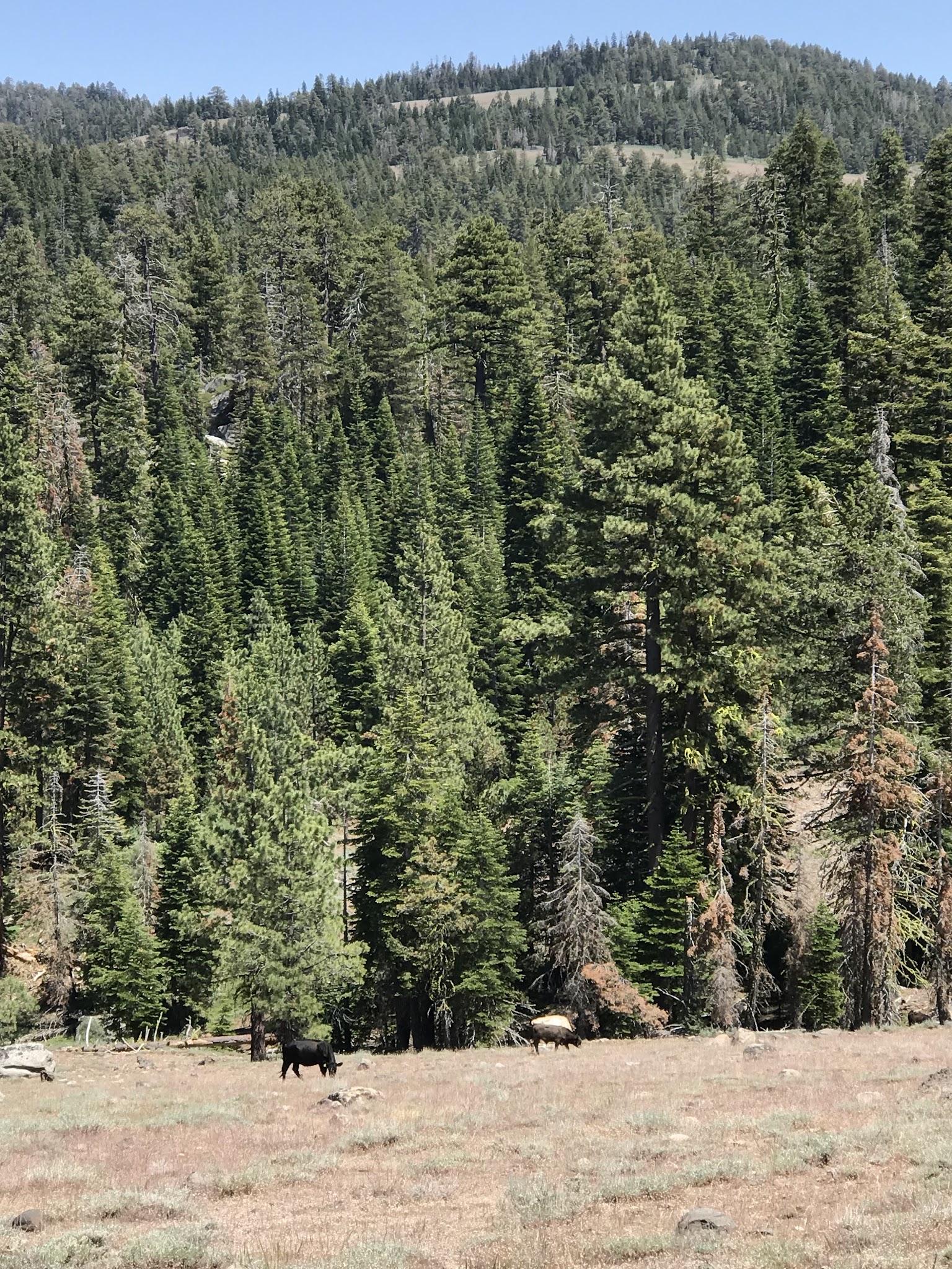 Mill Creek Campground