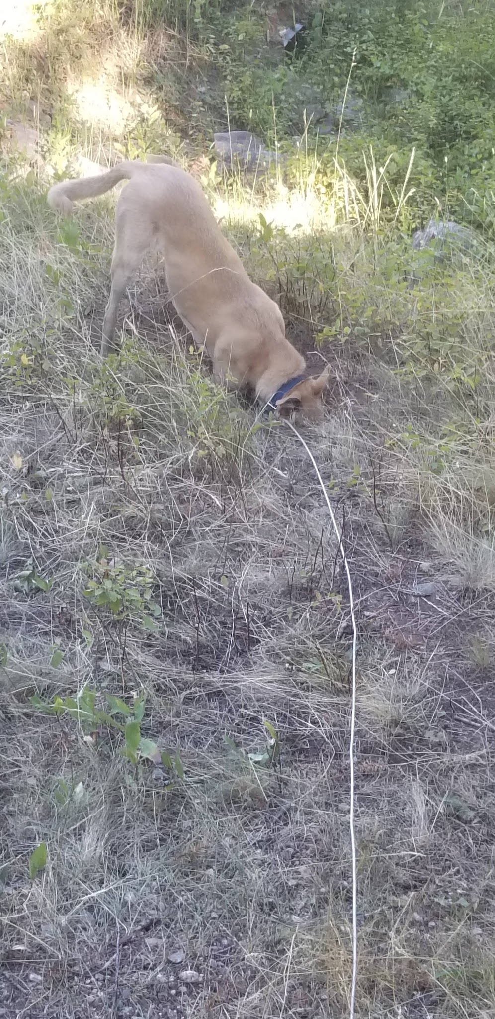 Mill Creek Campground