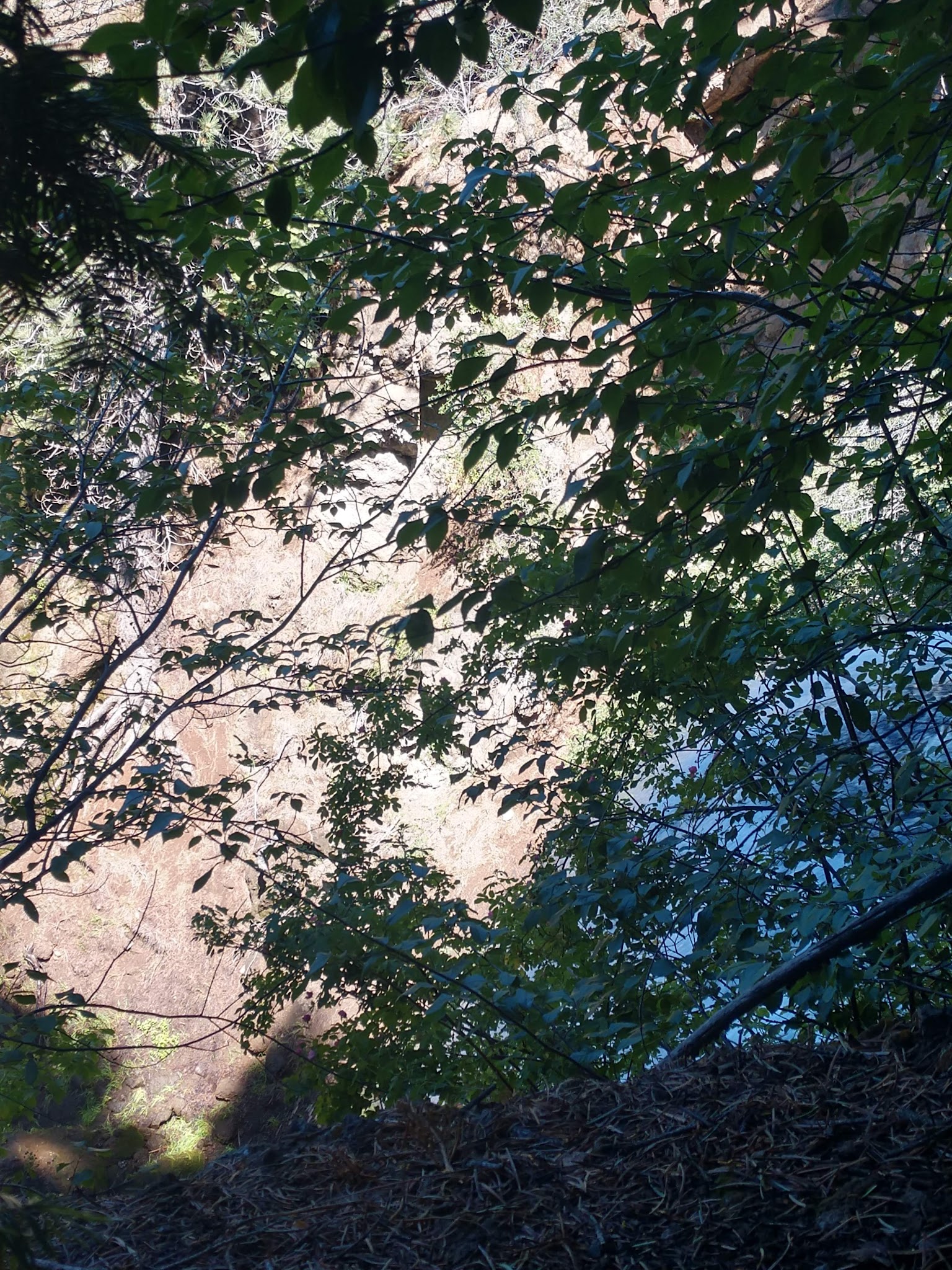 Mill Creek Falls Campground