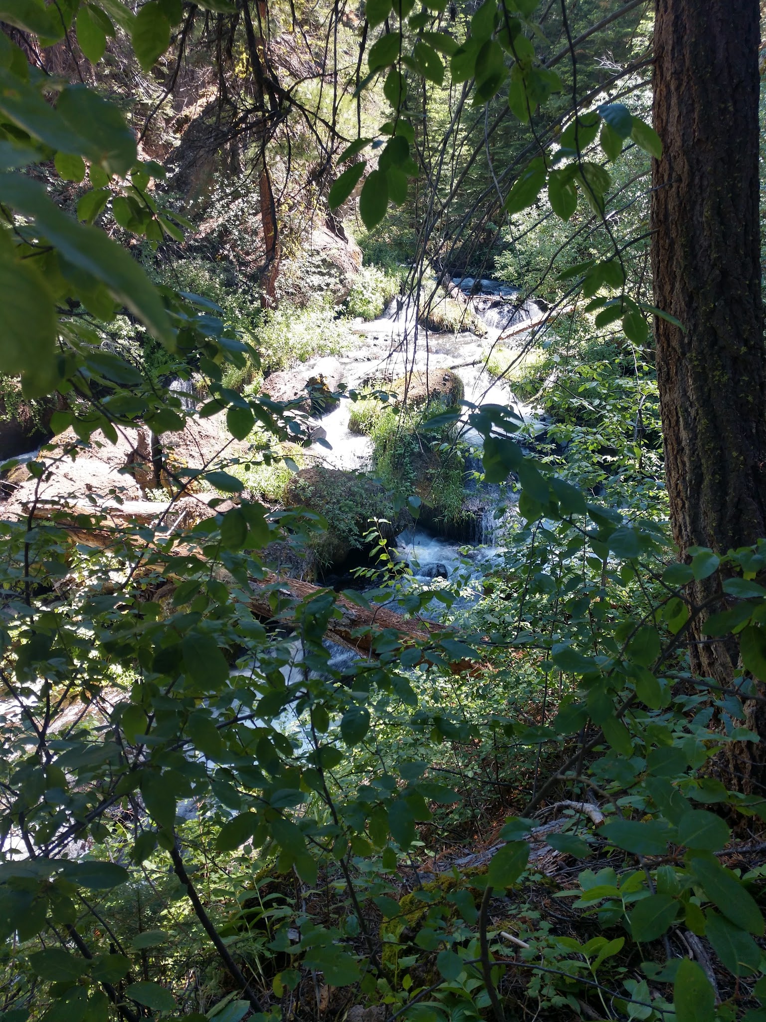 Mill Creek Falls Campground