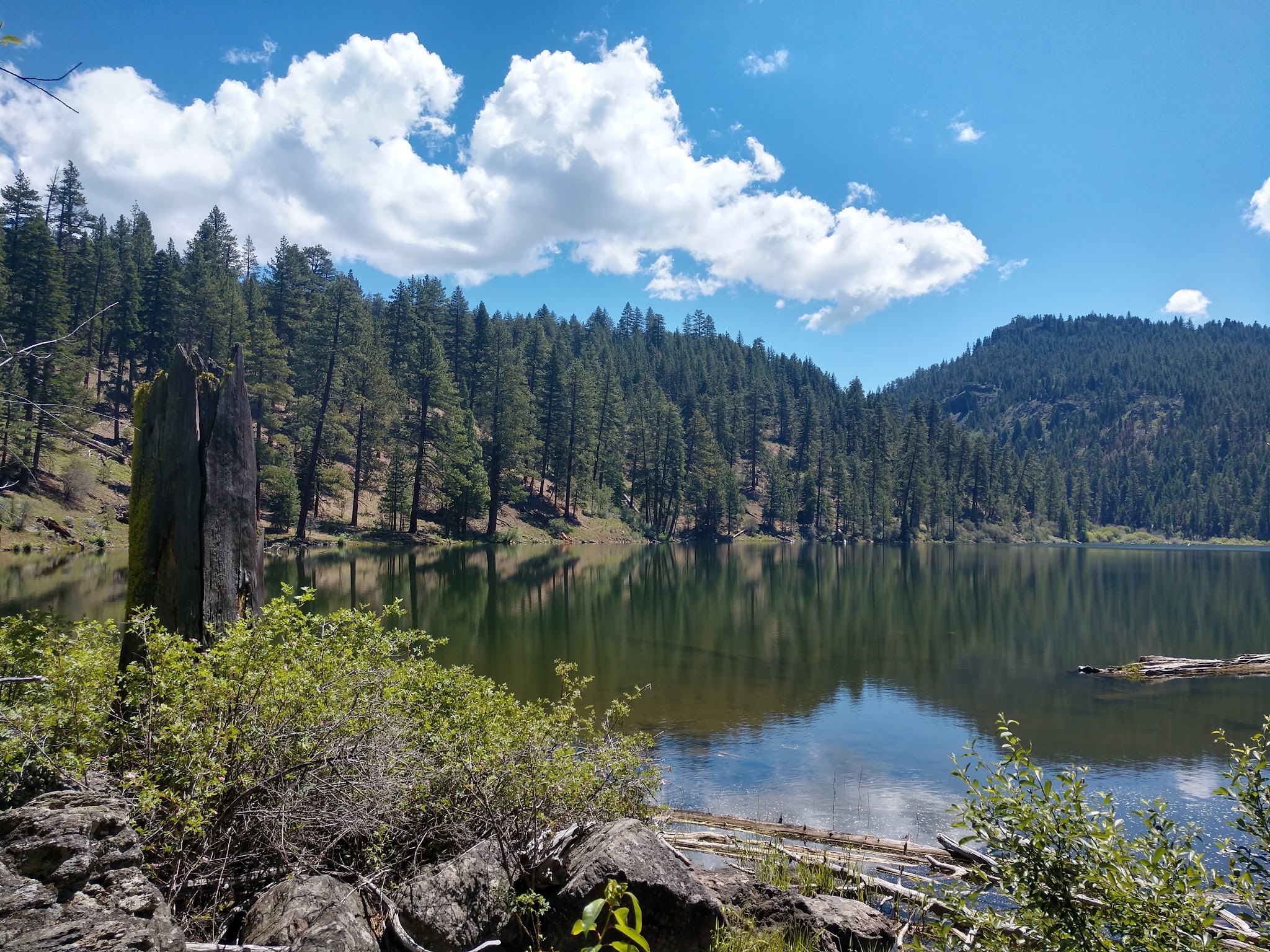 Mill Creek Falls Campground