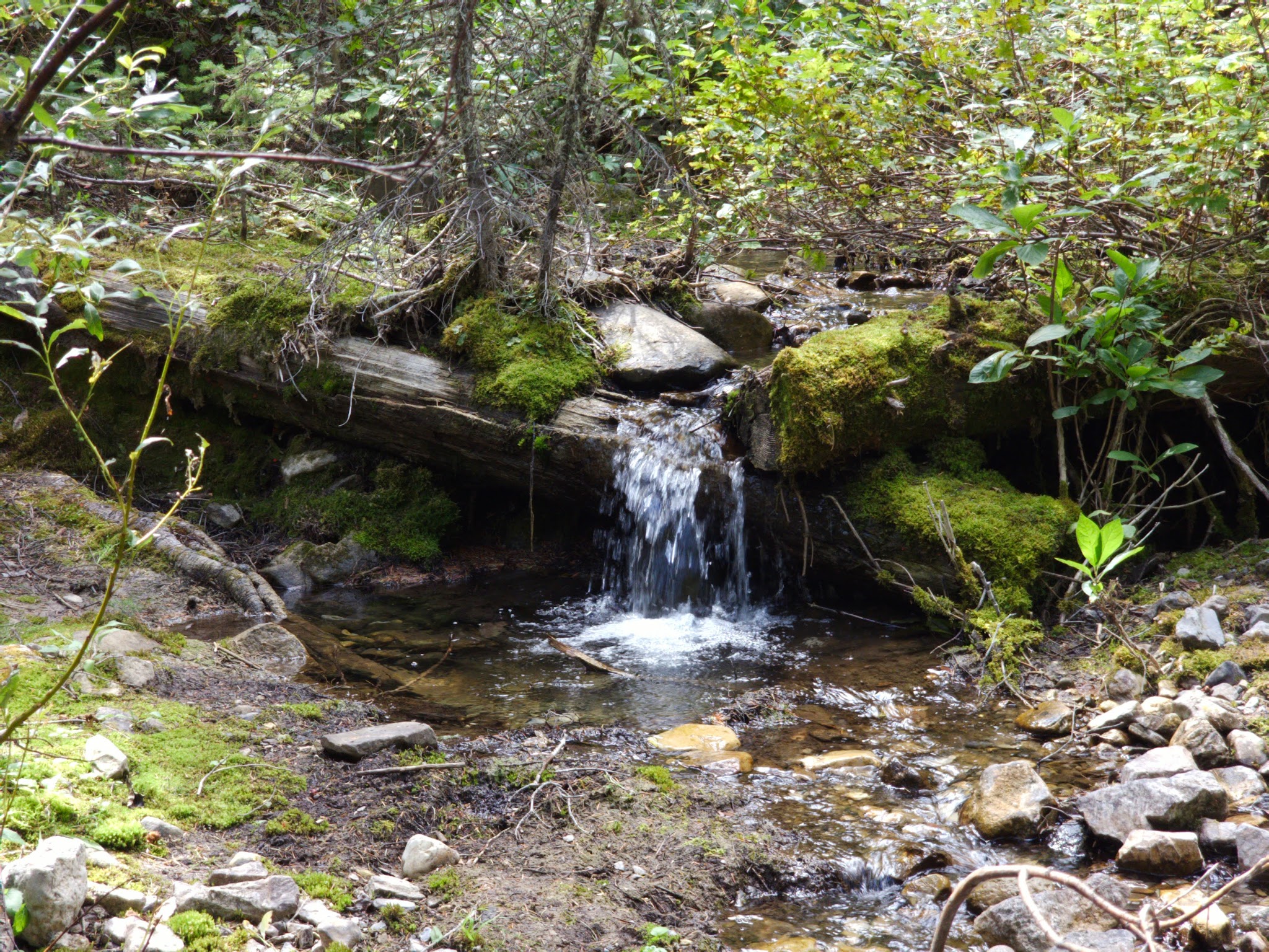 Mill Falls Campground
