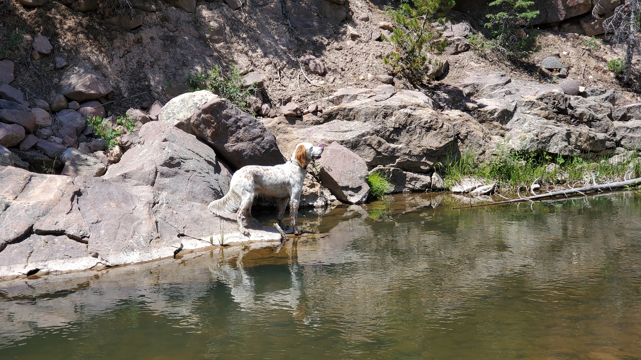 Mill Flat Camping Area