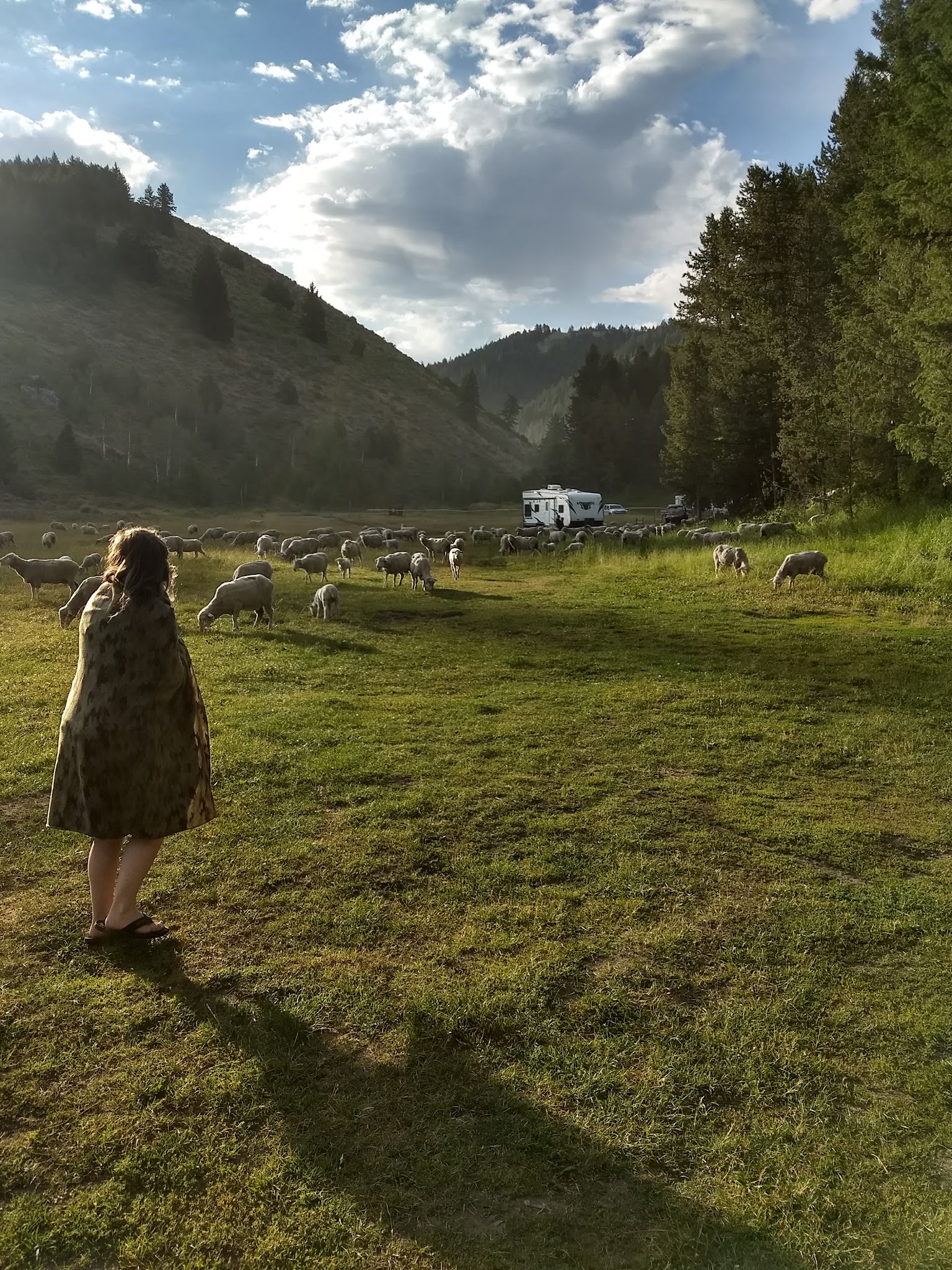 Mill Flat Campground