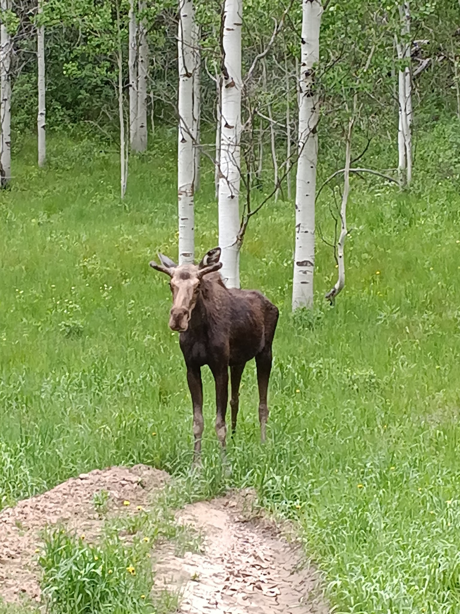 Mill Flat Campground