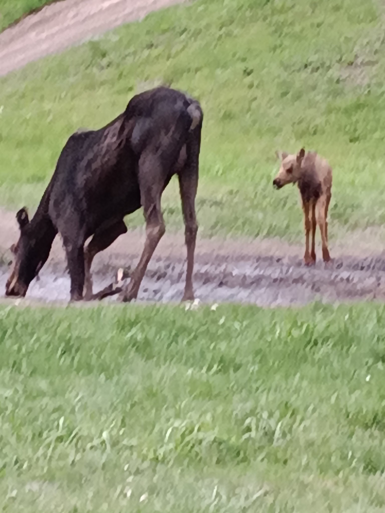 Mill Flat Campground