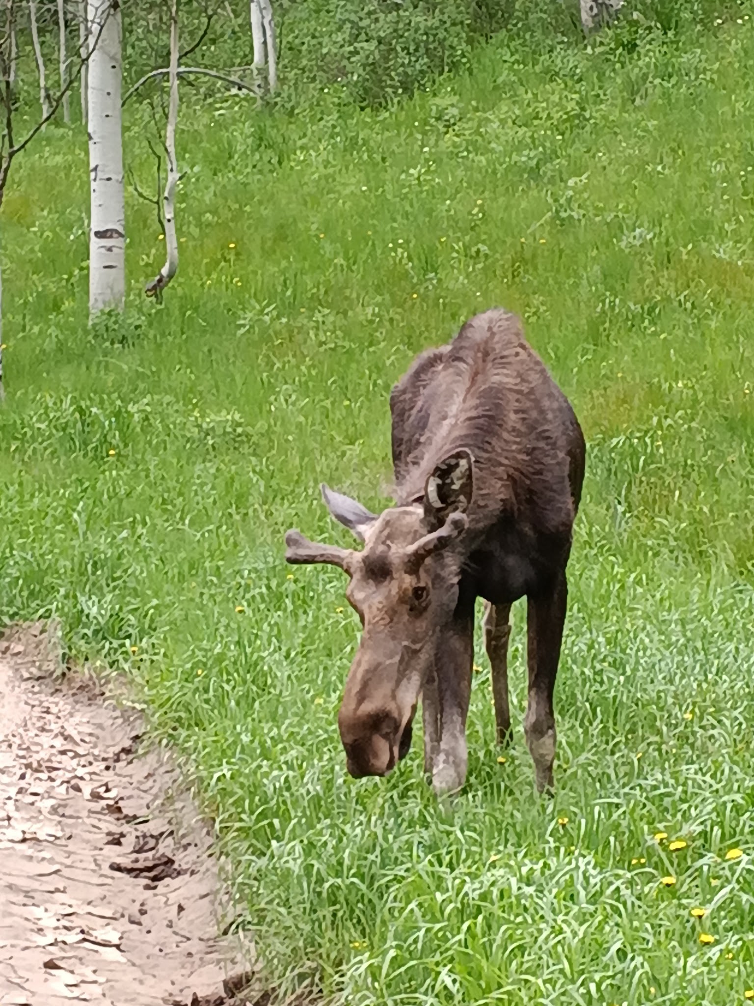 Mill Flat Campground