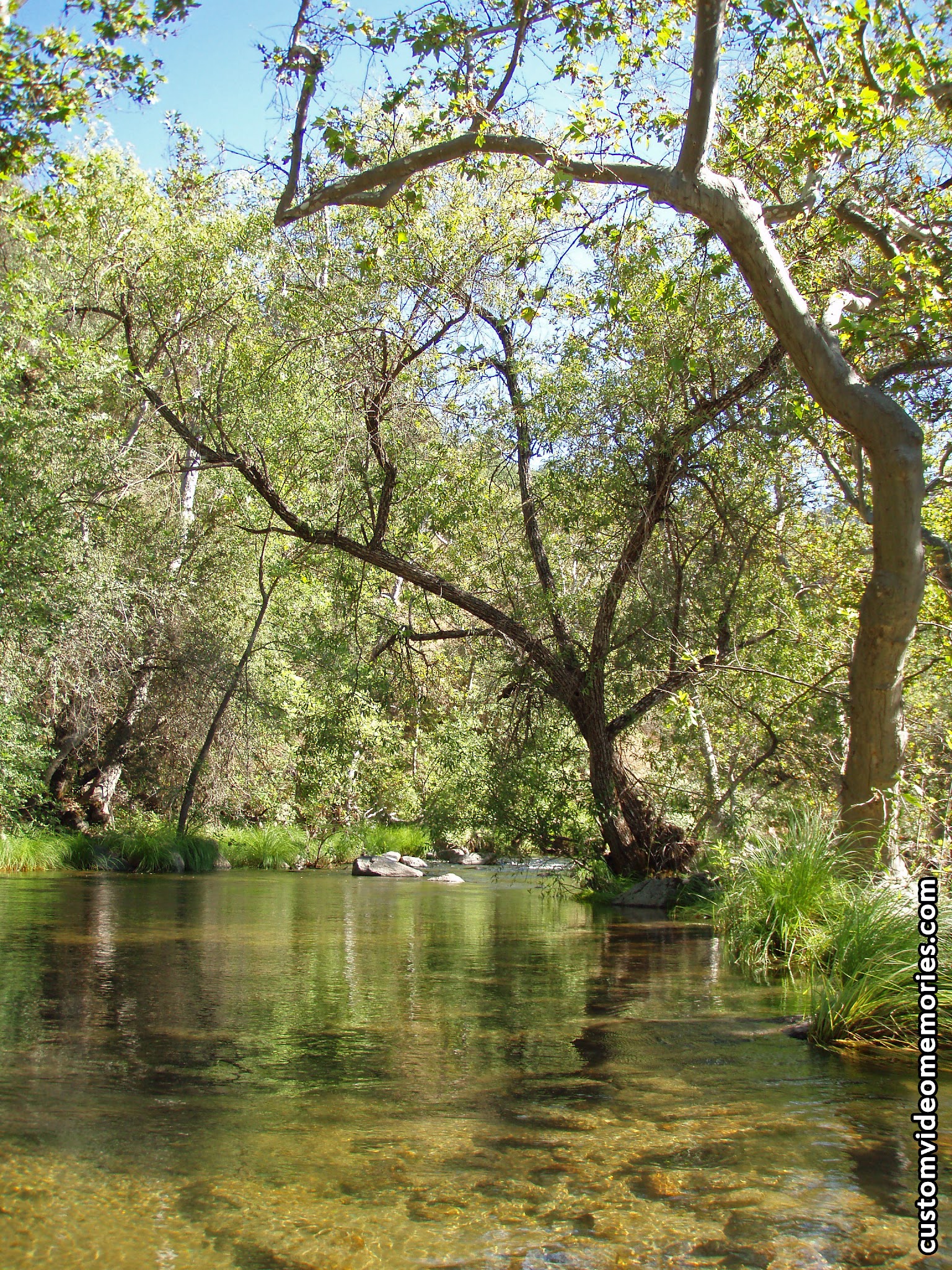 Mill Flat Campground