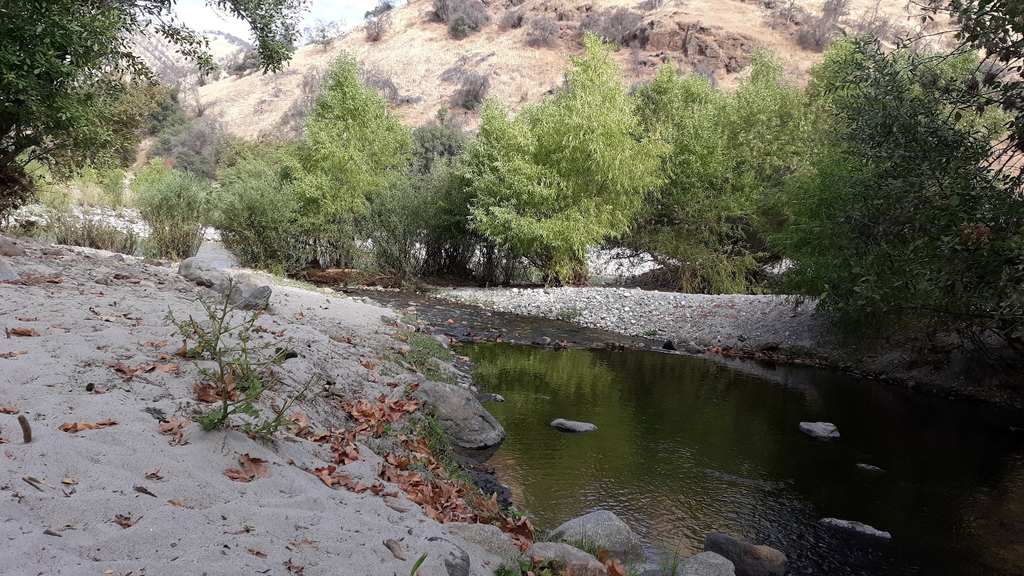 Mill Flat Campground