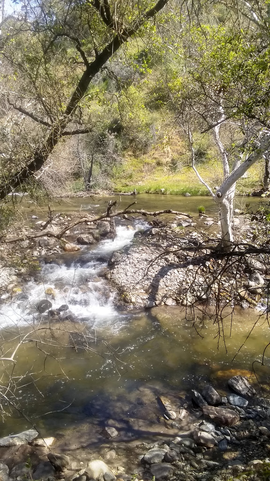 Mill Flat Campground